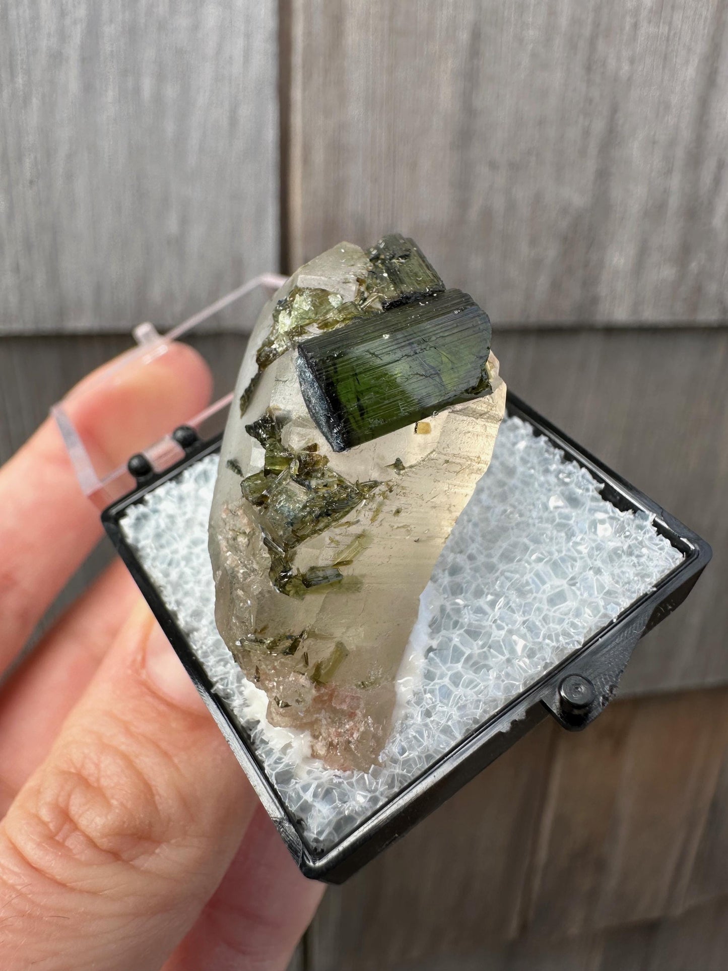 Tourmaline on and in Quartz Point from Sao Jose Da Safira Brazil