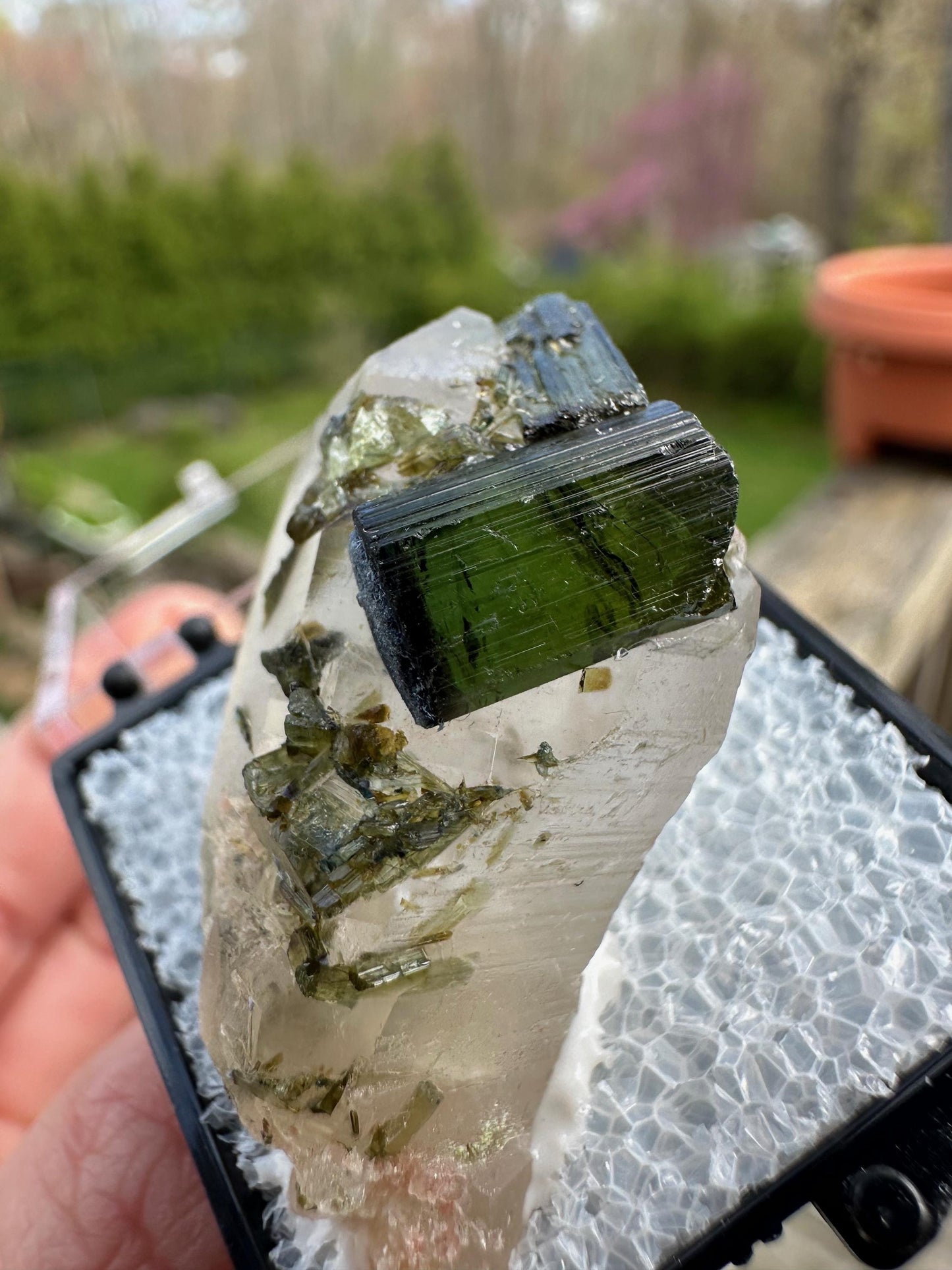Tourmaline on and in Quartz Point from Sao Jose Da Safira Brazil