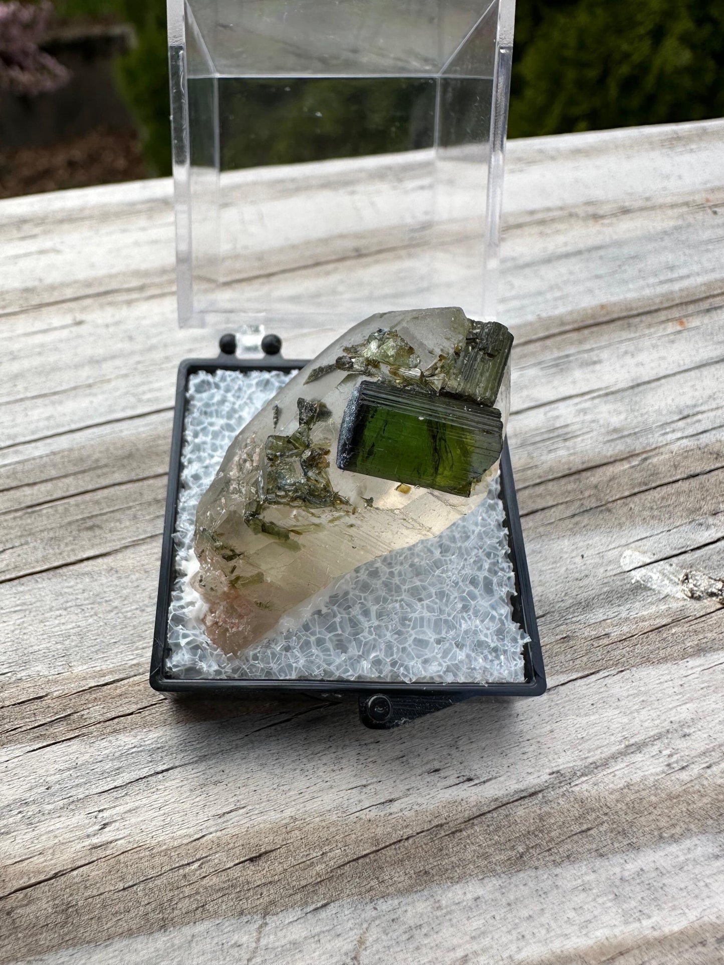 Tourmaline on and in Quartz Point from Sao Jose Da Safira Brazil
