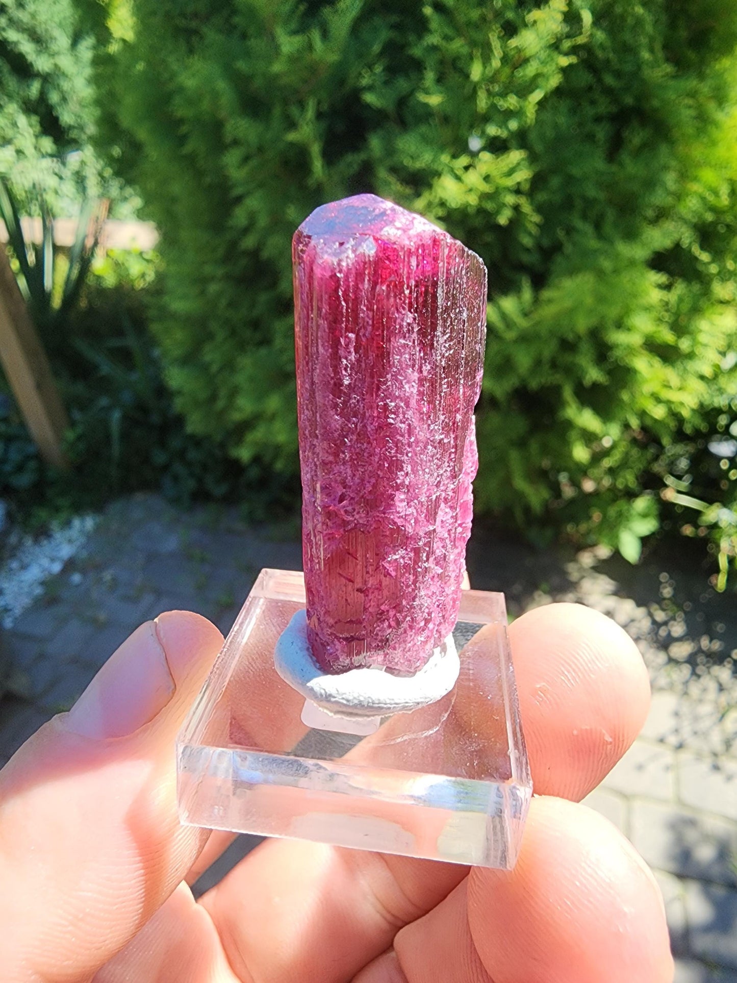 23 Grams Rubellite Tourmaline Crystal from Brazil