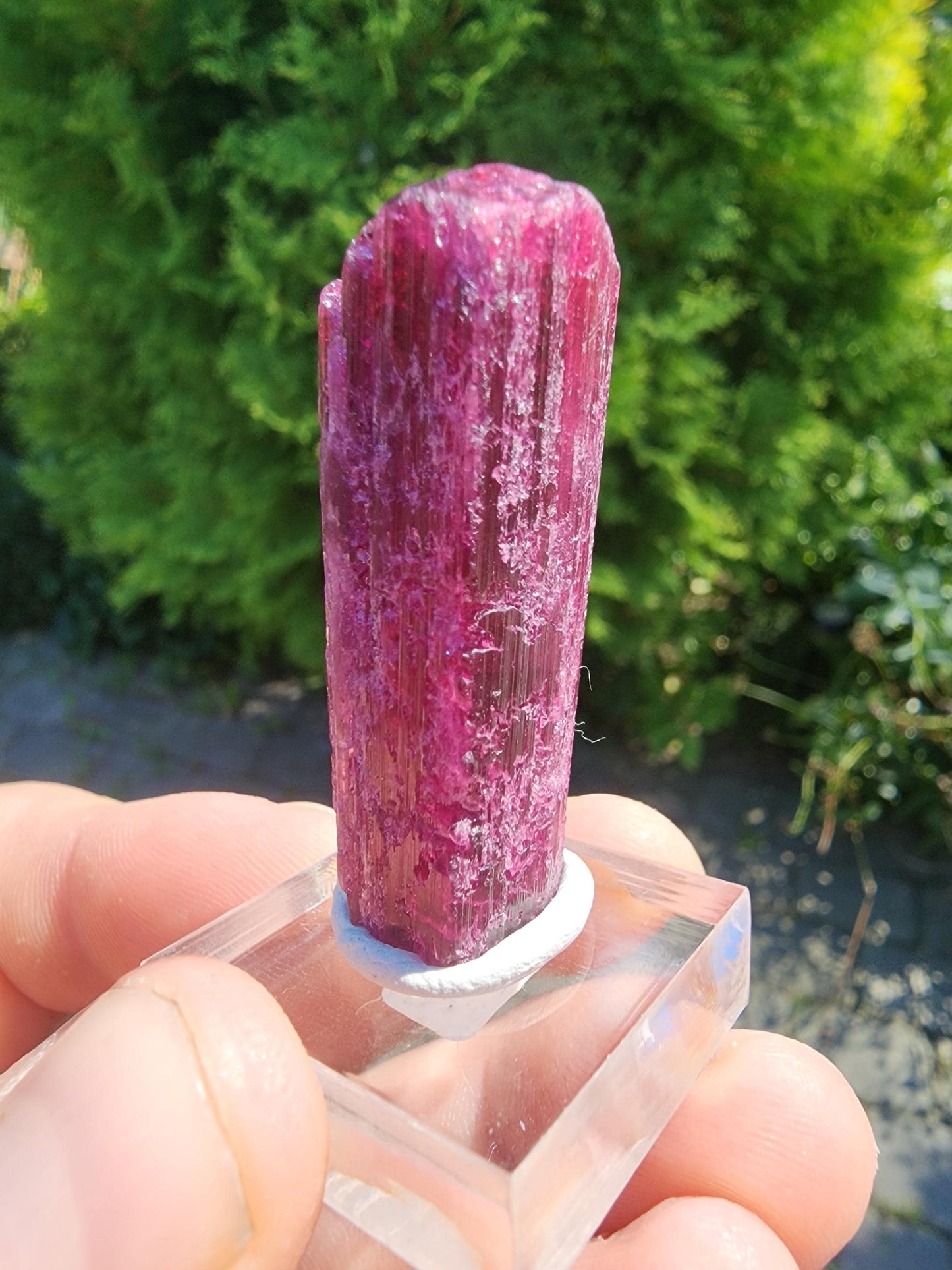 26 Grams Rubellite Tourmaline Crystal from Brazil