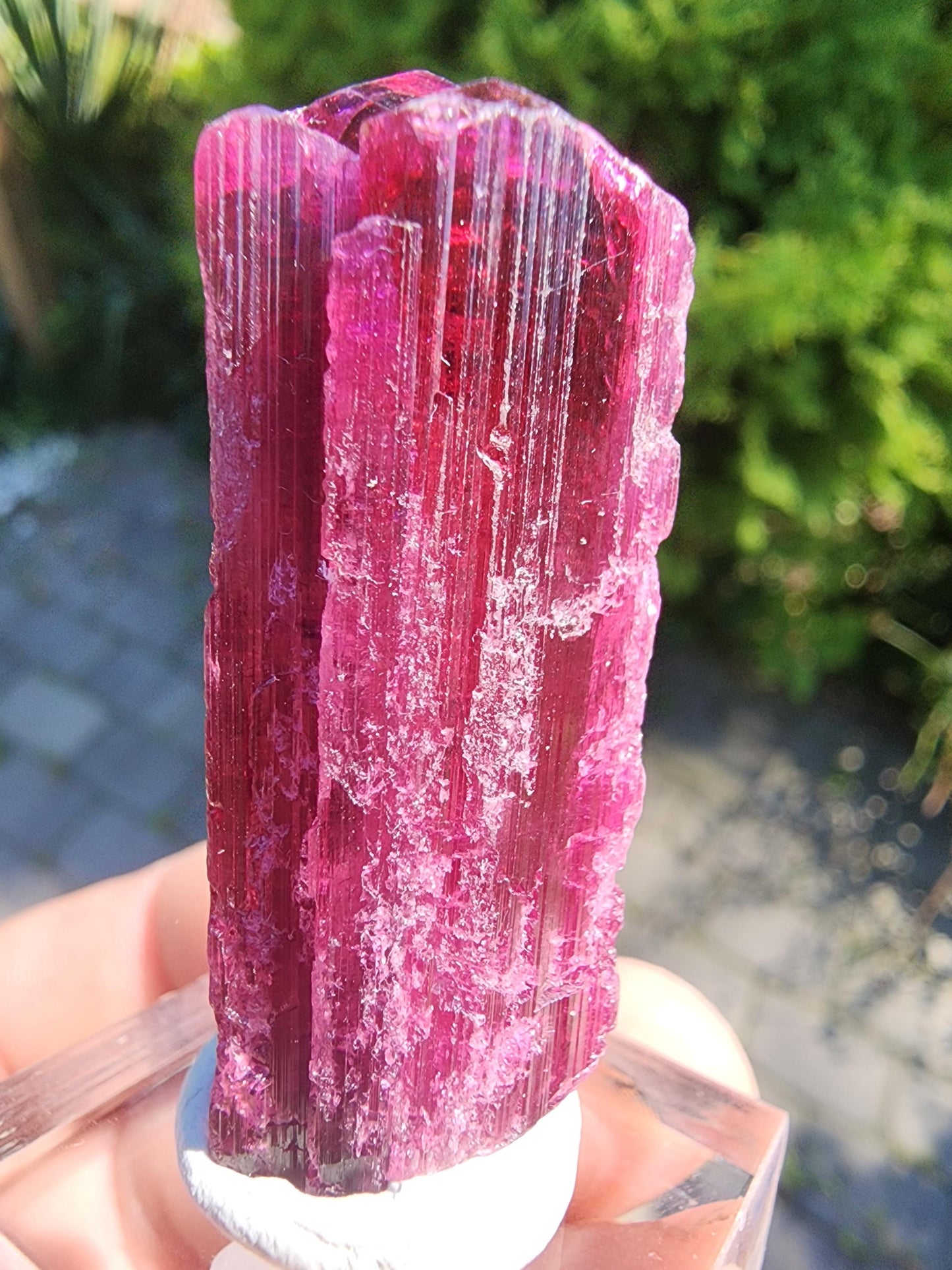 26 Grams Rubellite Tourmaline Crystal from Brazil