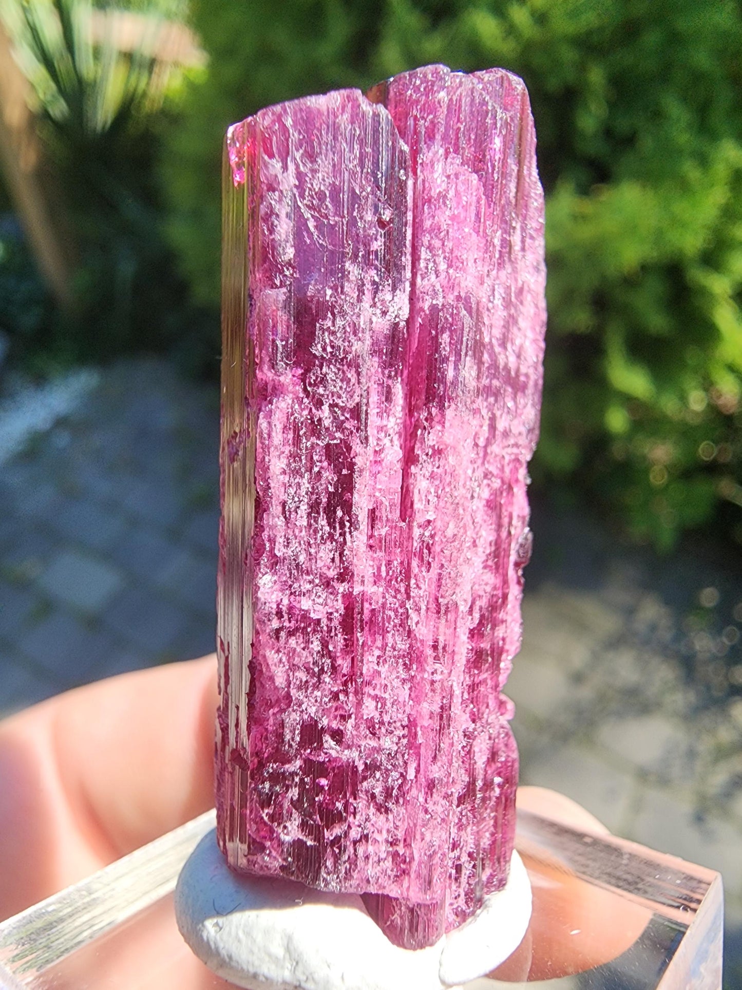 26 Grams Rubellite Tourmaline Crystal from Brazil