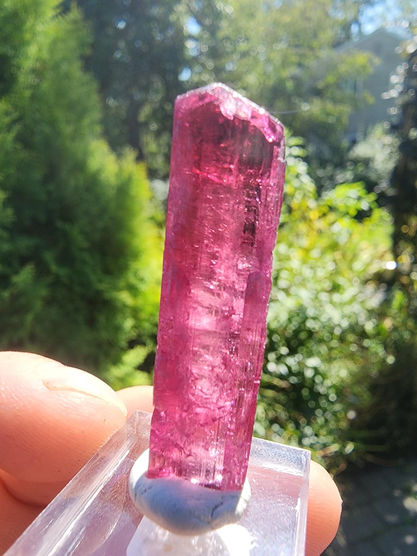 6 Grams Rubellite Tourmaline Crystal from Brazil