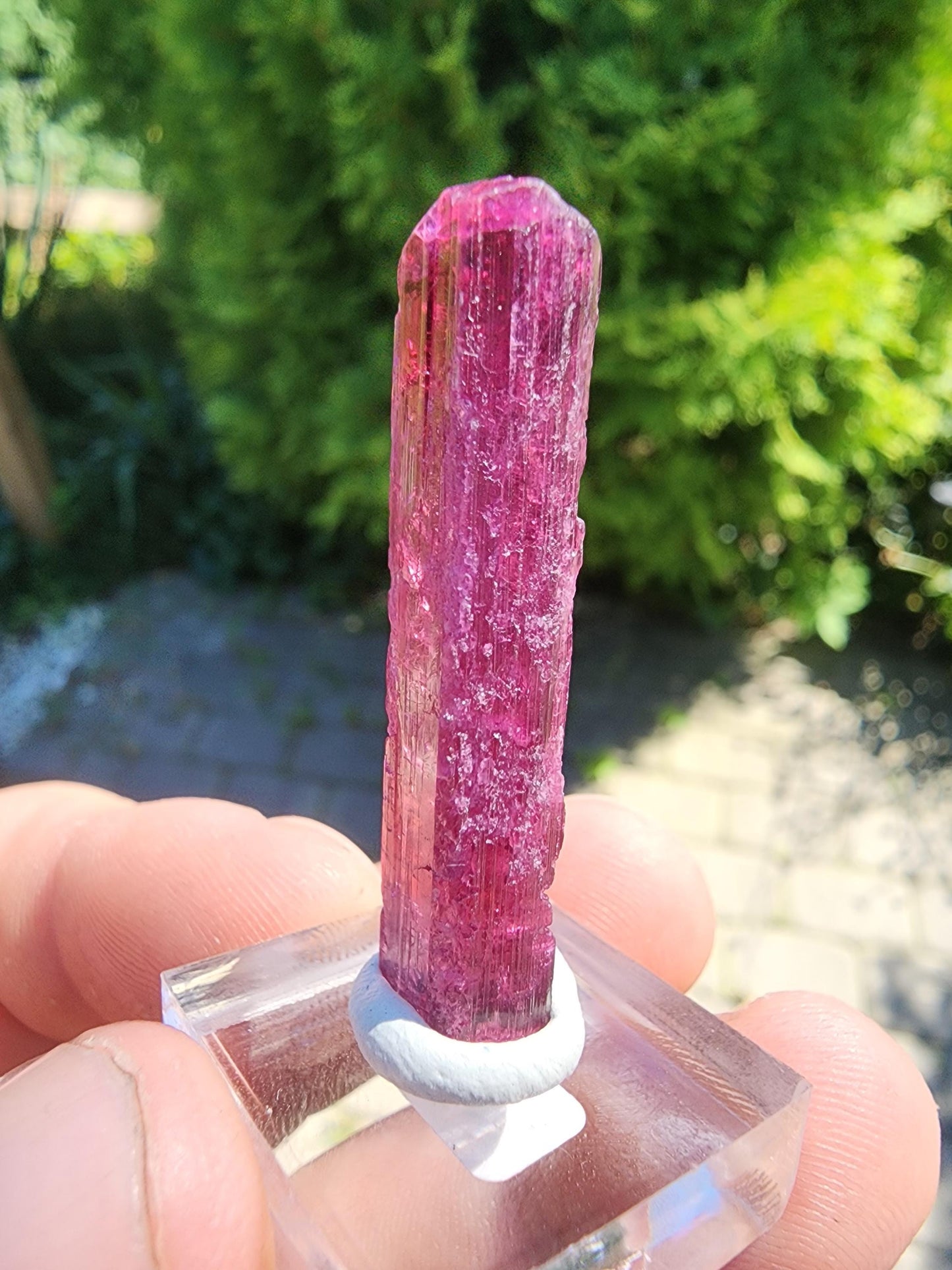 6 Grams Rubellite Tourmaline Crystal from Brazil