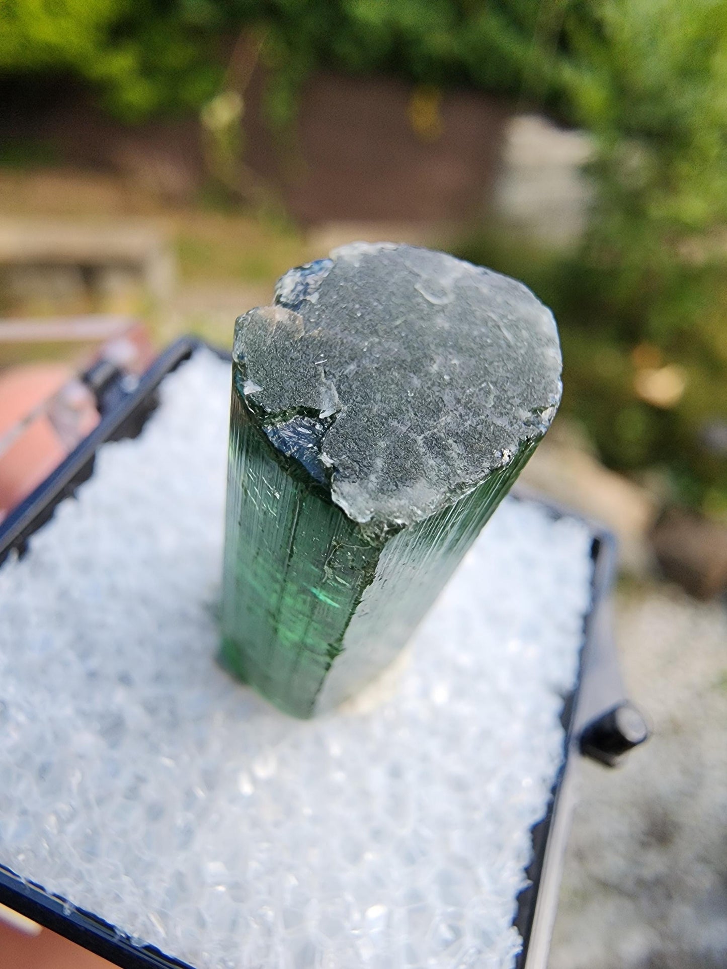6 Grams Elbaite Tourmaline Crystal from Brazil