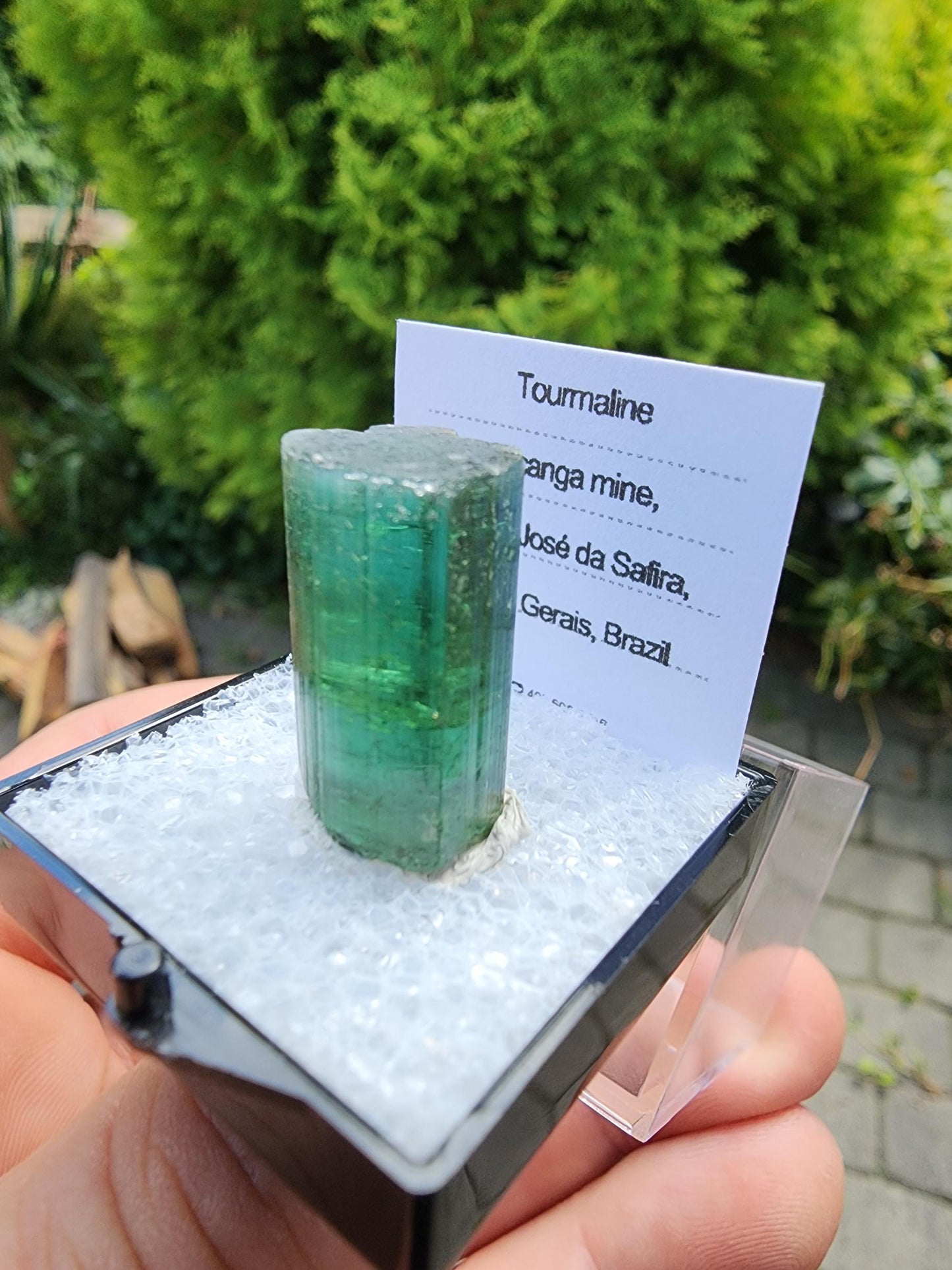 6 Grams Elbaite Tourmaline Crystal from Brazil