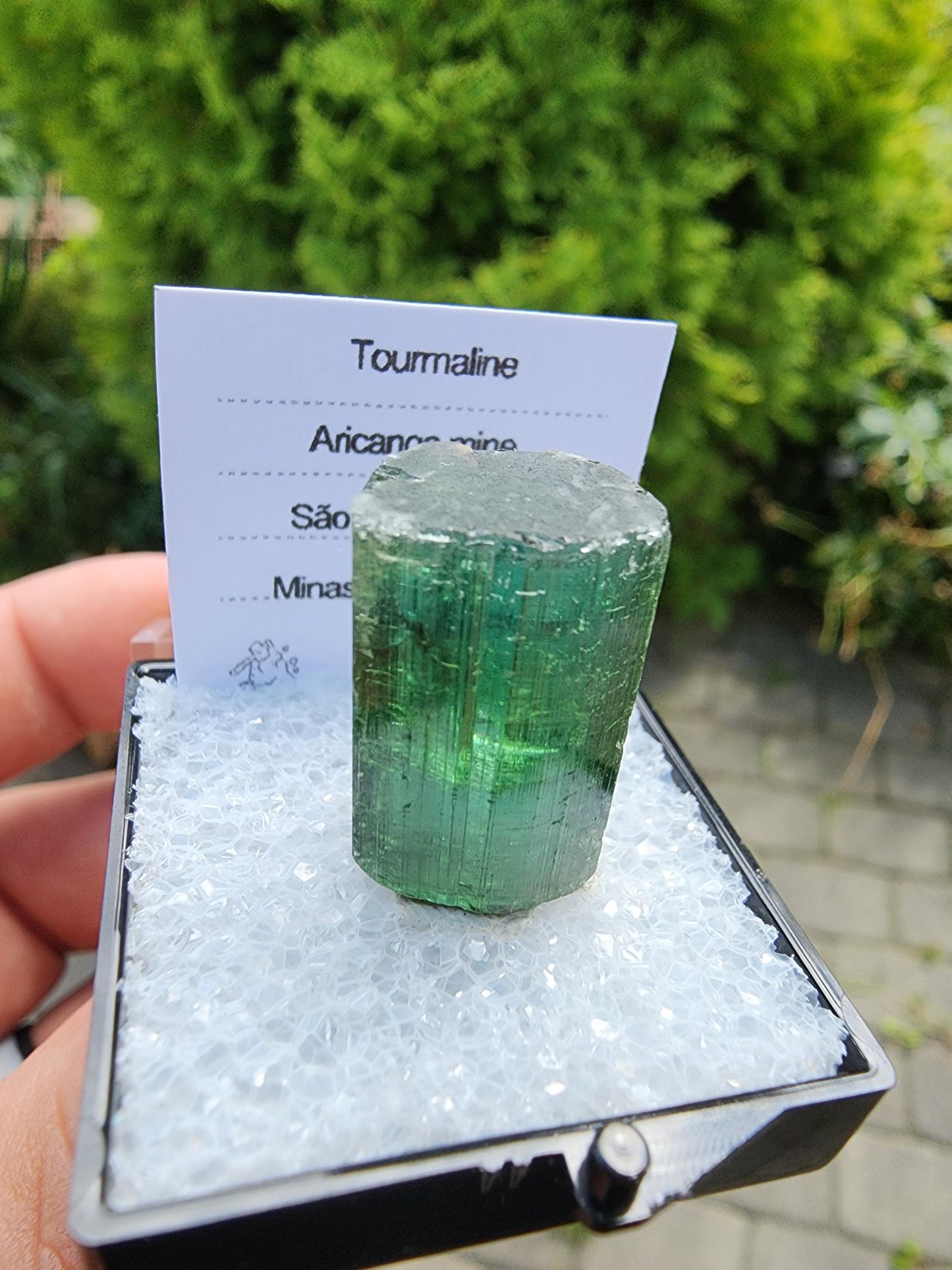 6 Grams Elbaite Tourmaline Crystal from Brazil