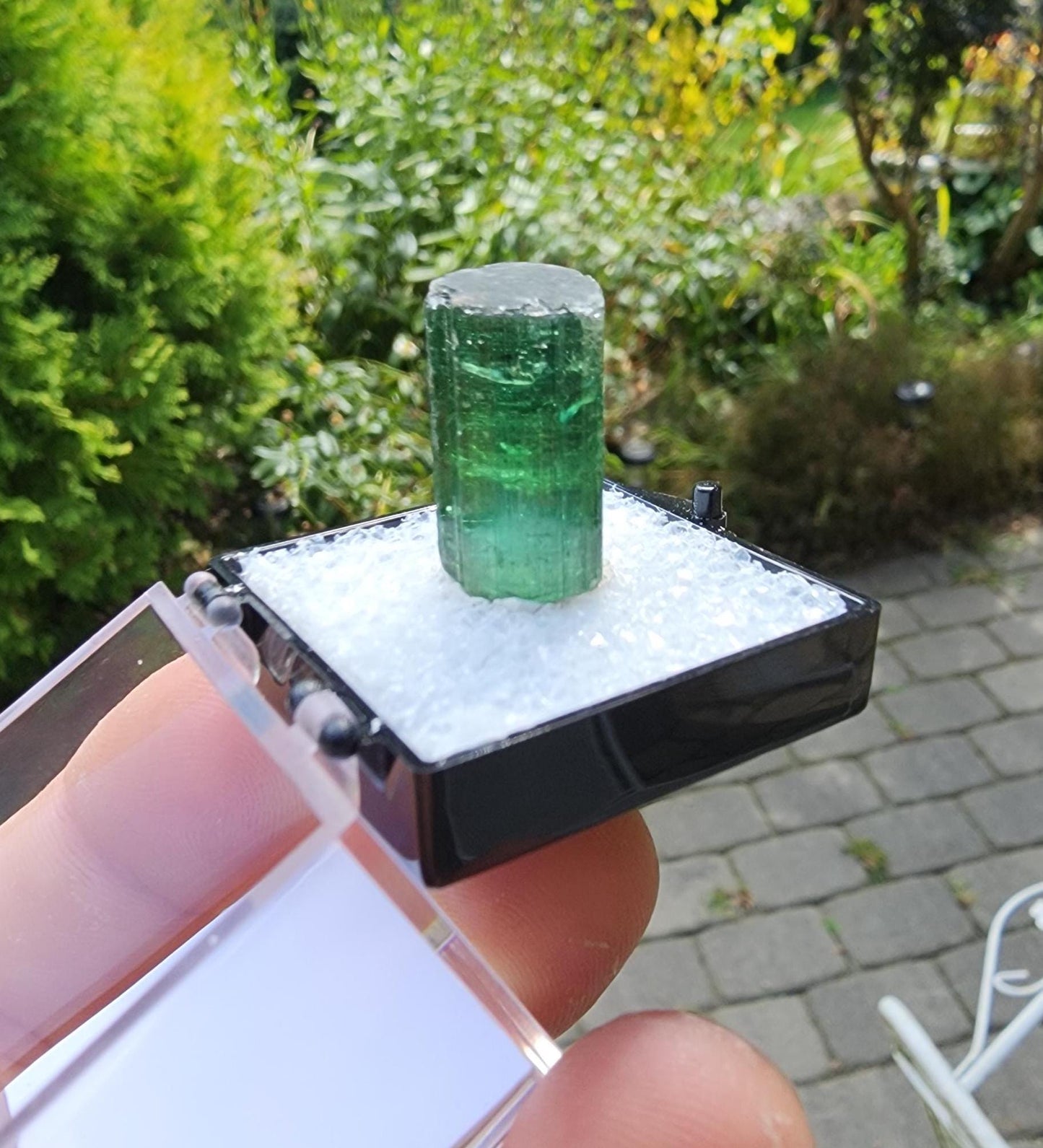 6 Grams Elbaite Tourmaline Crystal from Brazil