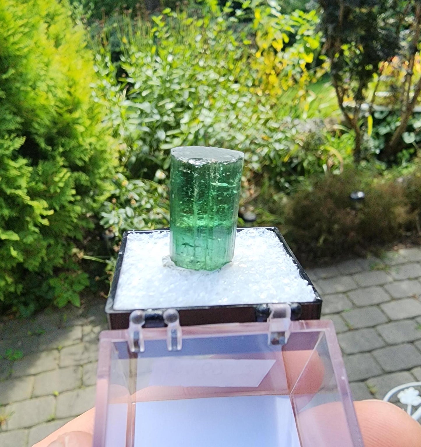 6 Grams Elbaite Tourmaline Crystal from Brazil