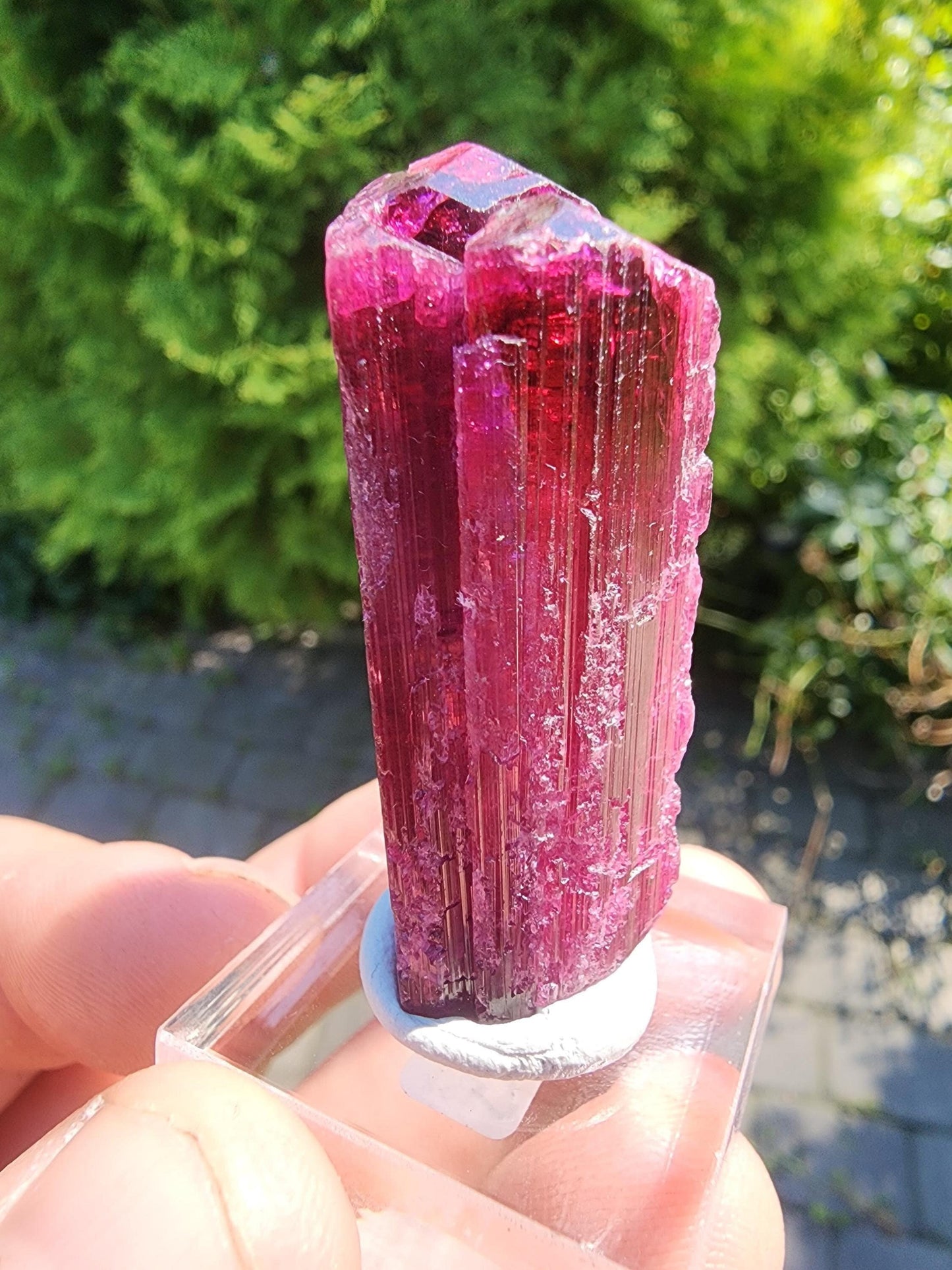 26 Grams Rubellite Tourmaline Crystal from Brazil