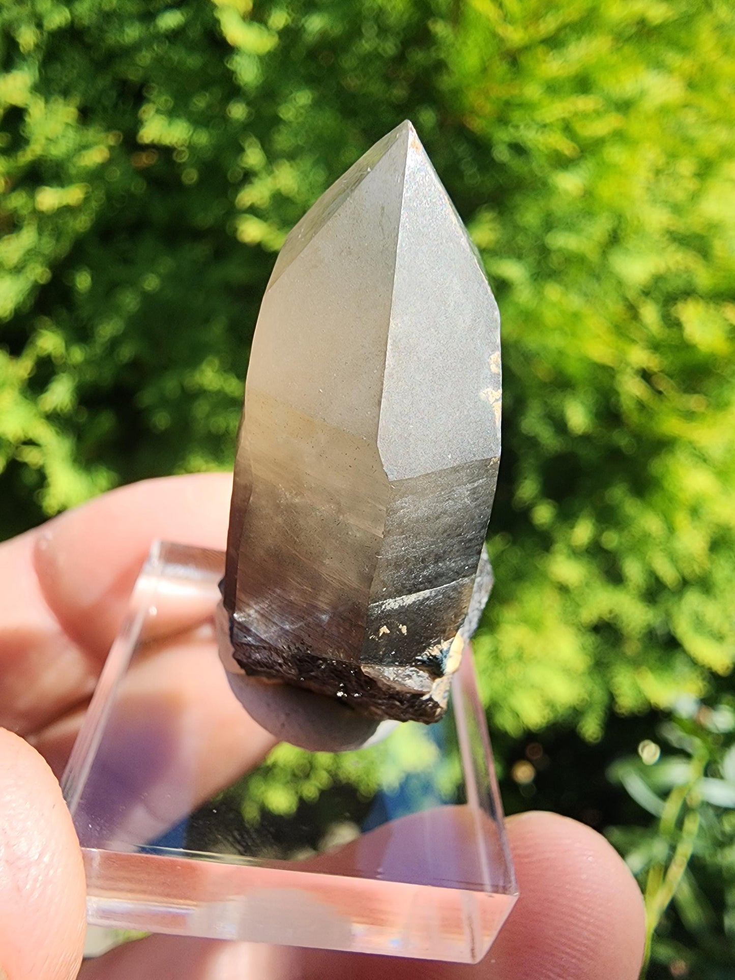 Smoky Quartz Crystal from Erongo, Namibia