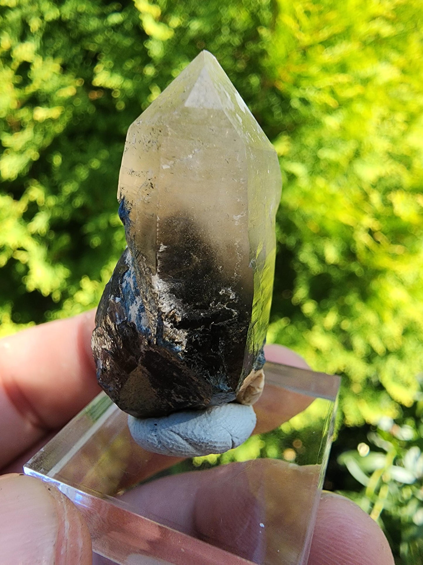 Smoky Quartz Crystal from Erongo, Namibia