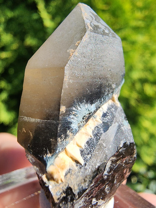 Smoky Quartz Crystal from Erongo, Namibia