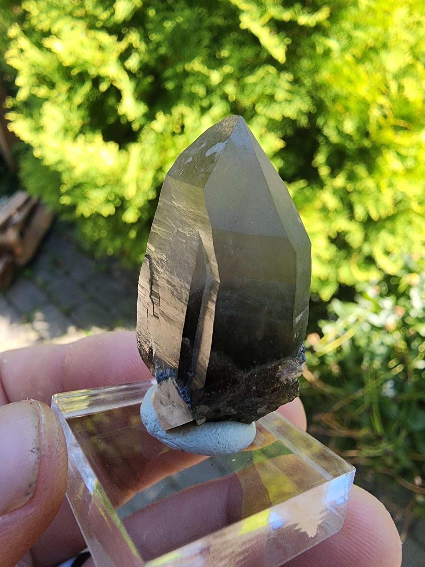 Smoky Quartz Crystal from Erongo, Namibia