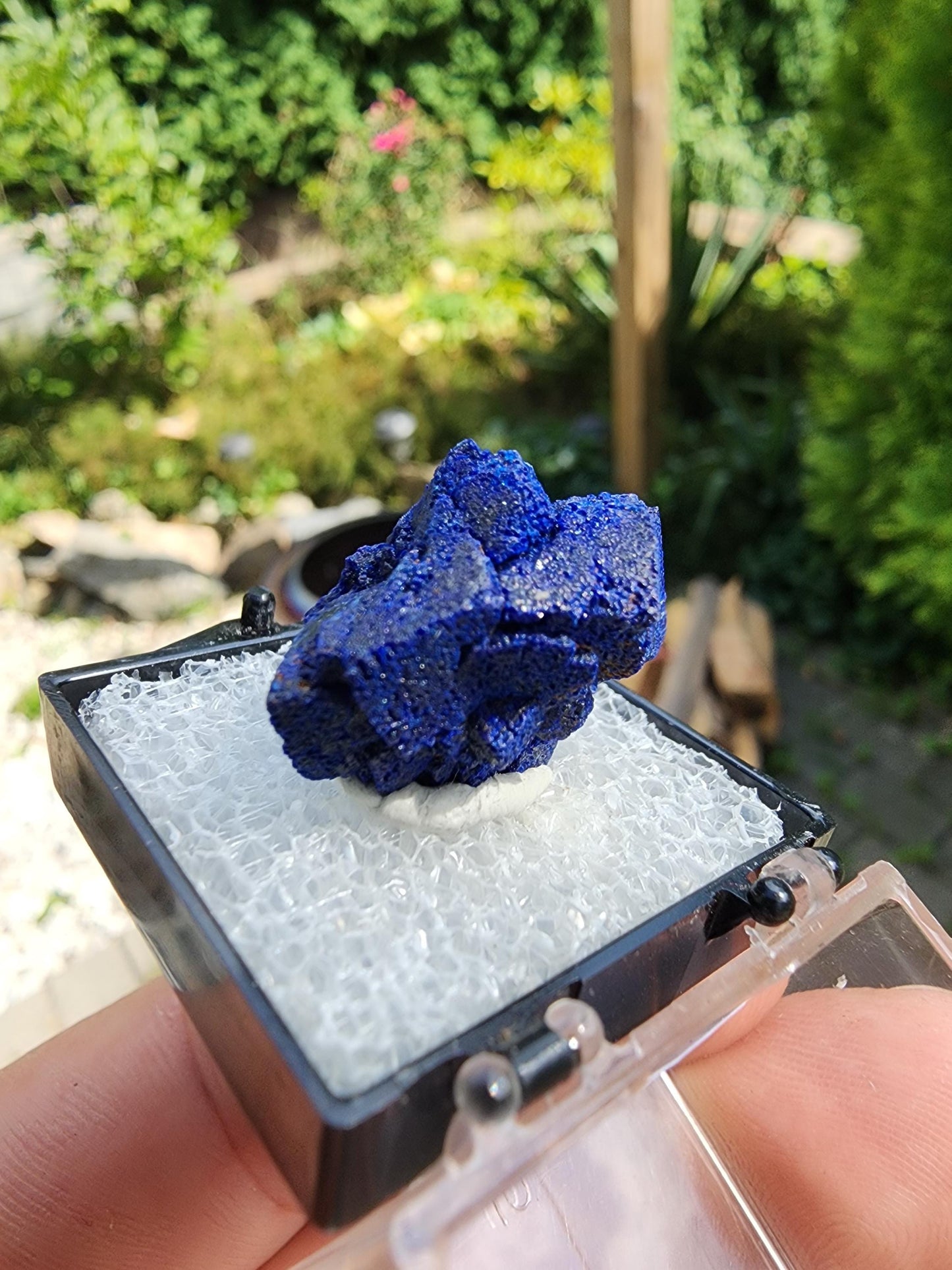 Azurite Rosette from Morenci, Arizona