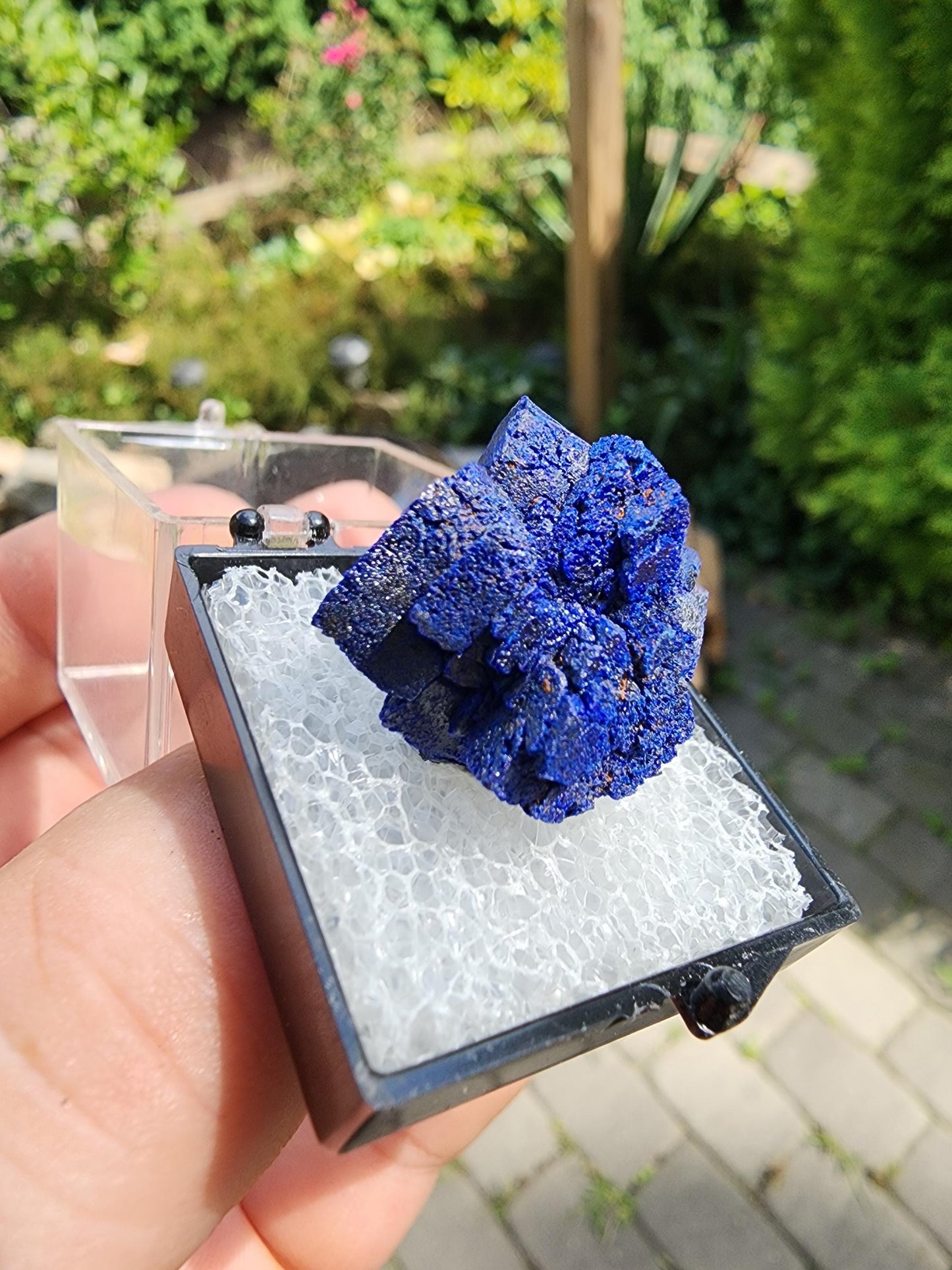 Azurite Rosette from Morenci, Arizona