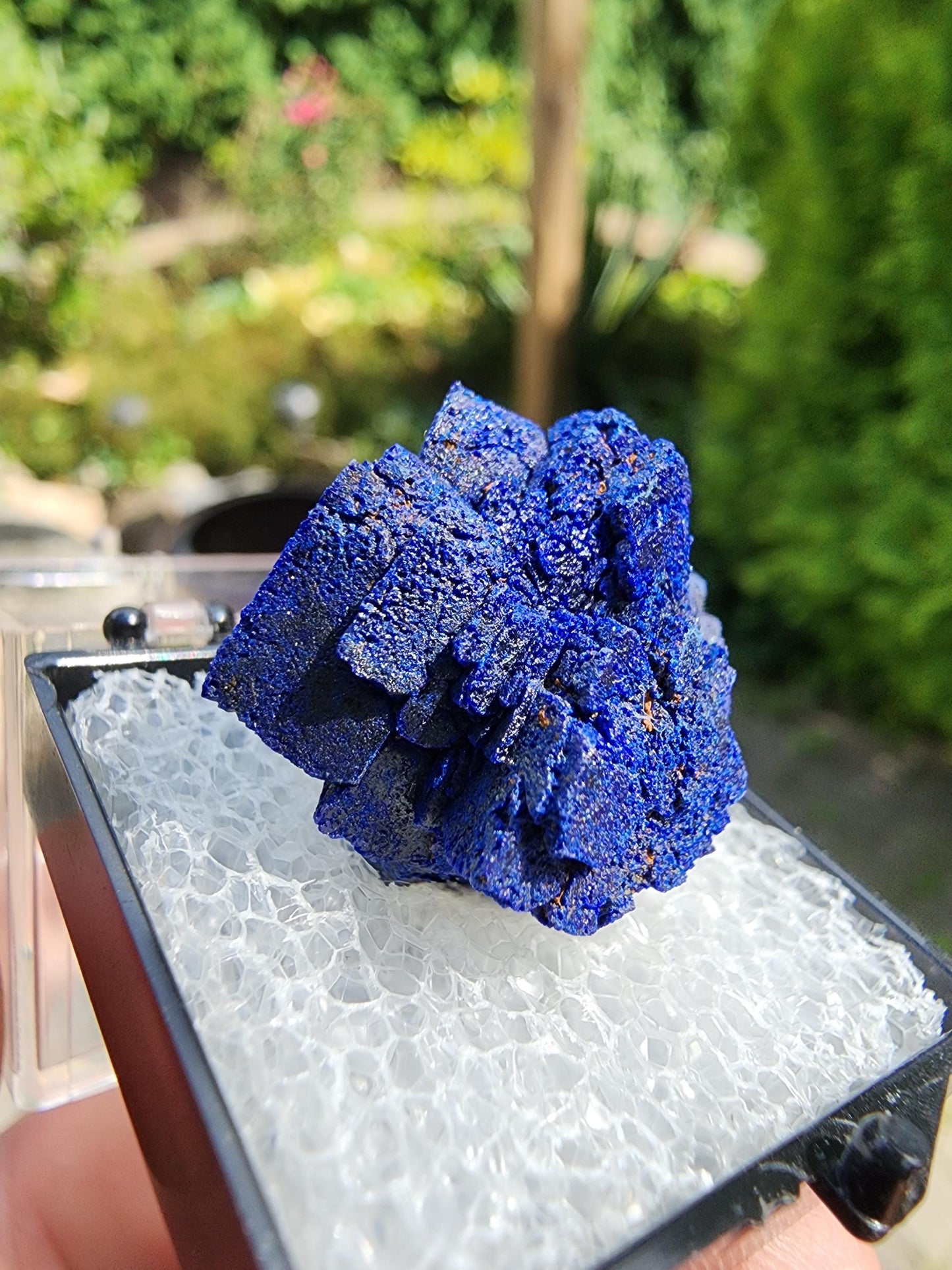 Azurite Rosette from Morenci, Arizona