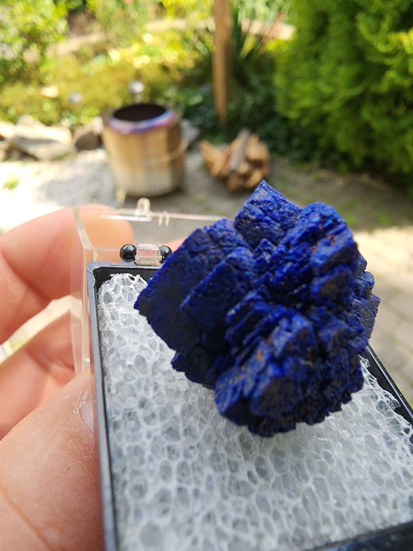 Azurite Rosette from Morenci, Arizona