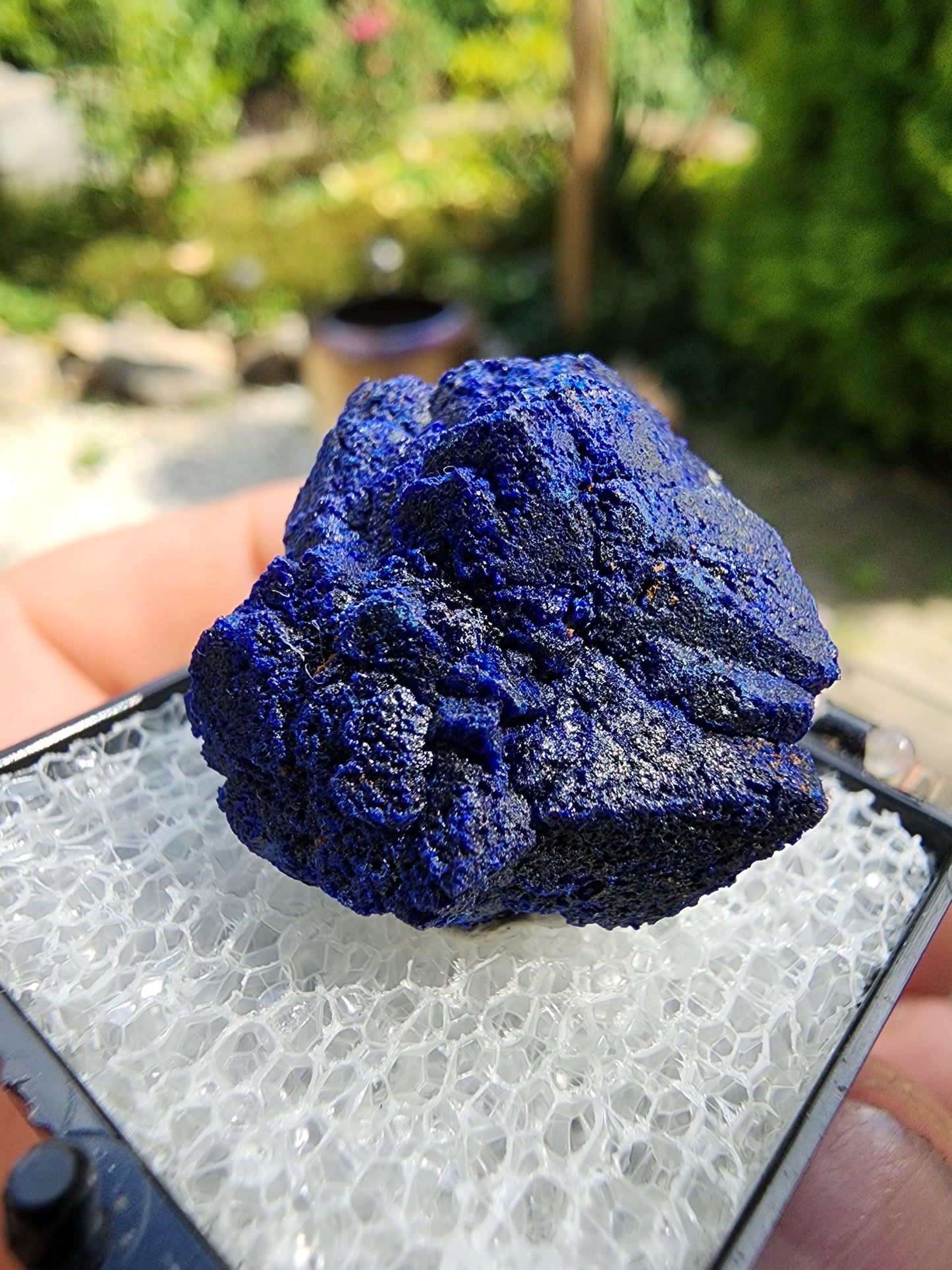 Azurite Rosette from Morenci, Arizona
