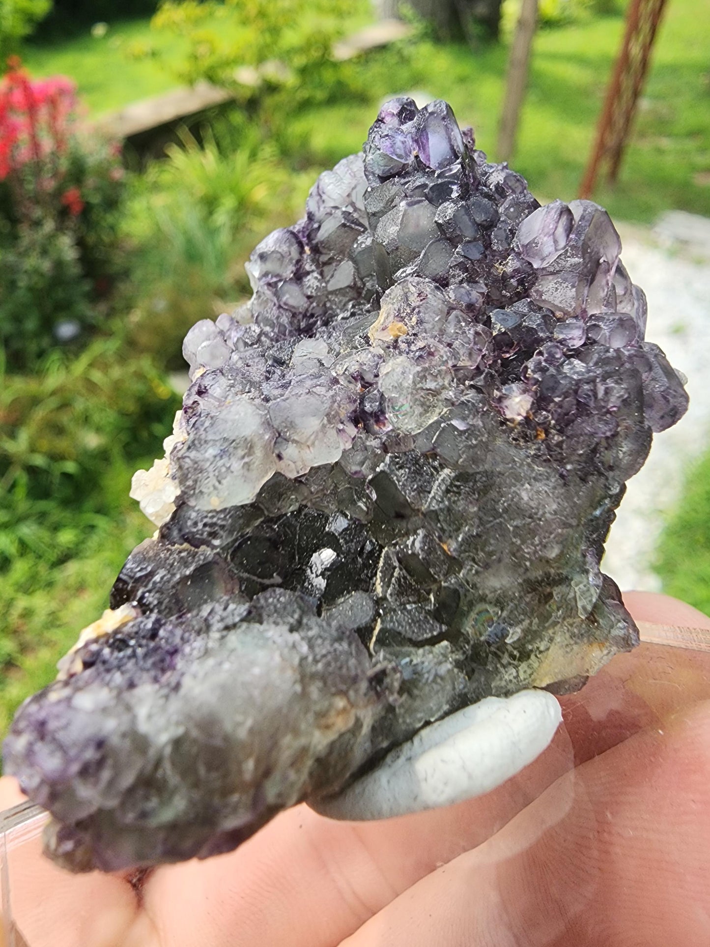Fluorite w/ Goshenite from Erongo, Namibia