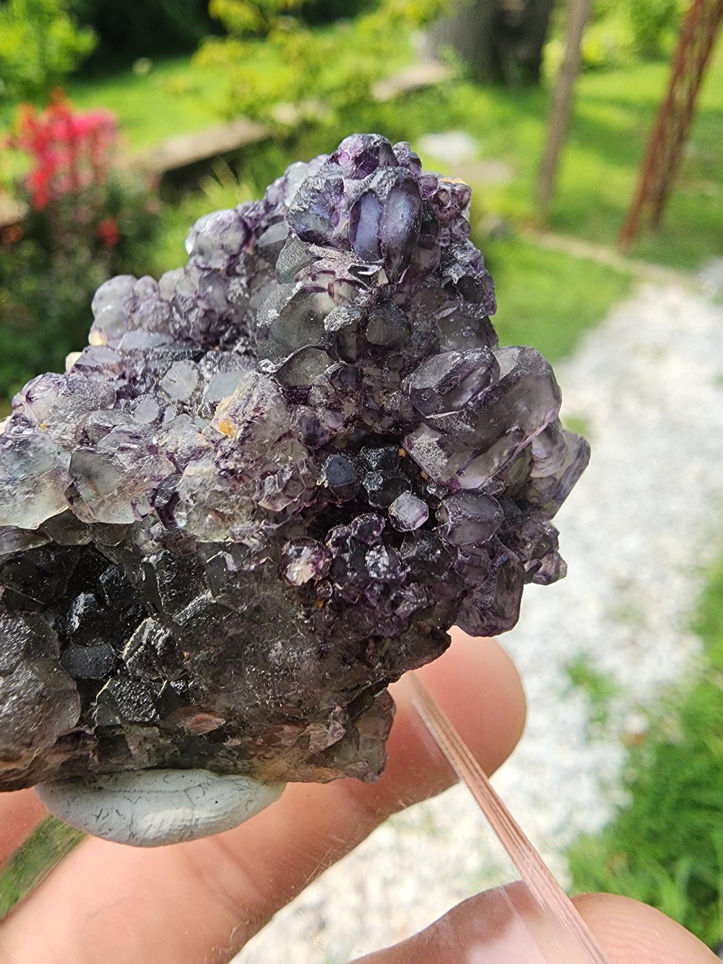 Fluorite w/ Goshenite from Erongo, Namibia