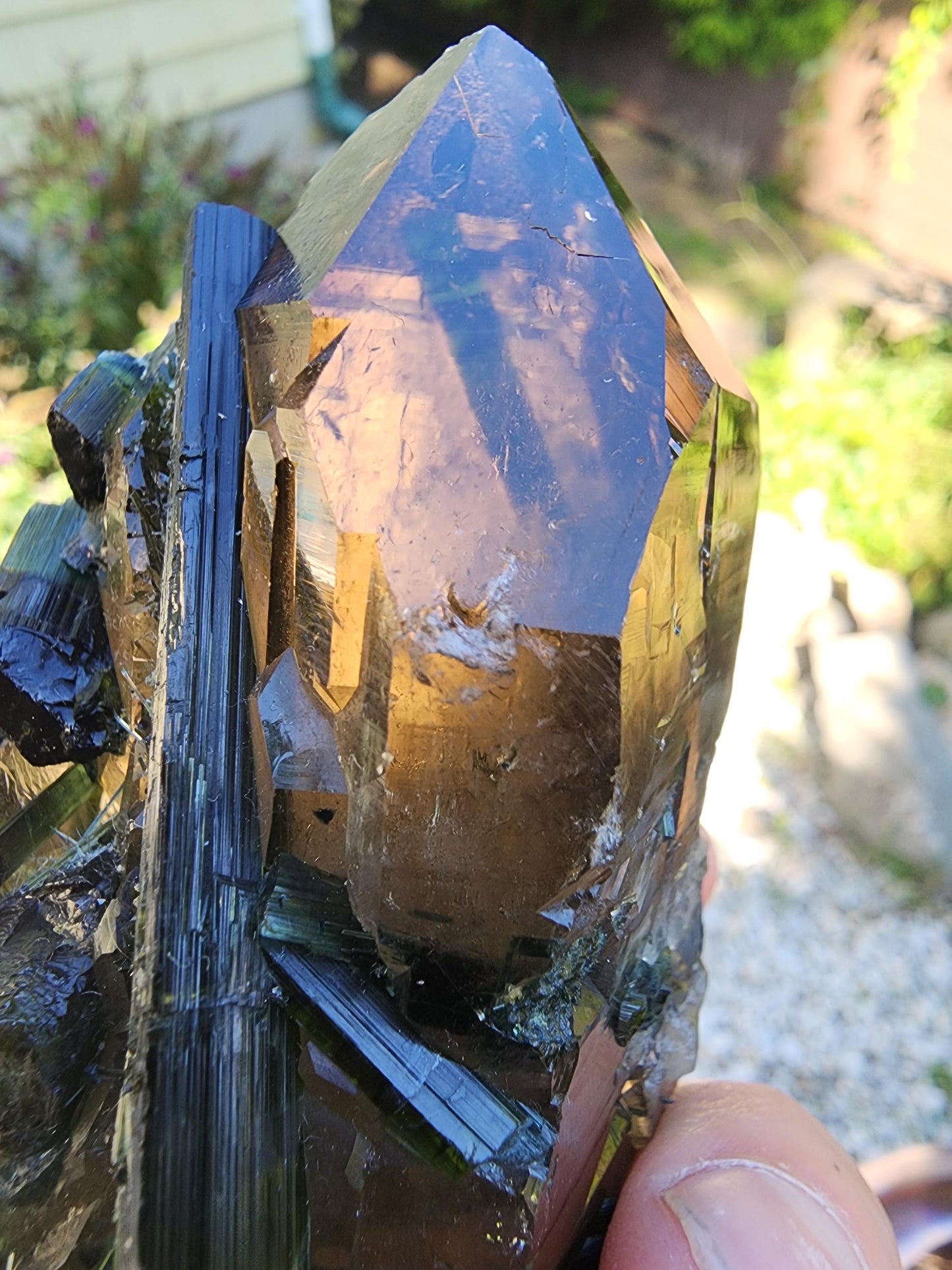 Large Bi-colored Tourmaline with a Smoky Quartz Point from Minas Gerais, Brazil