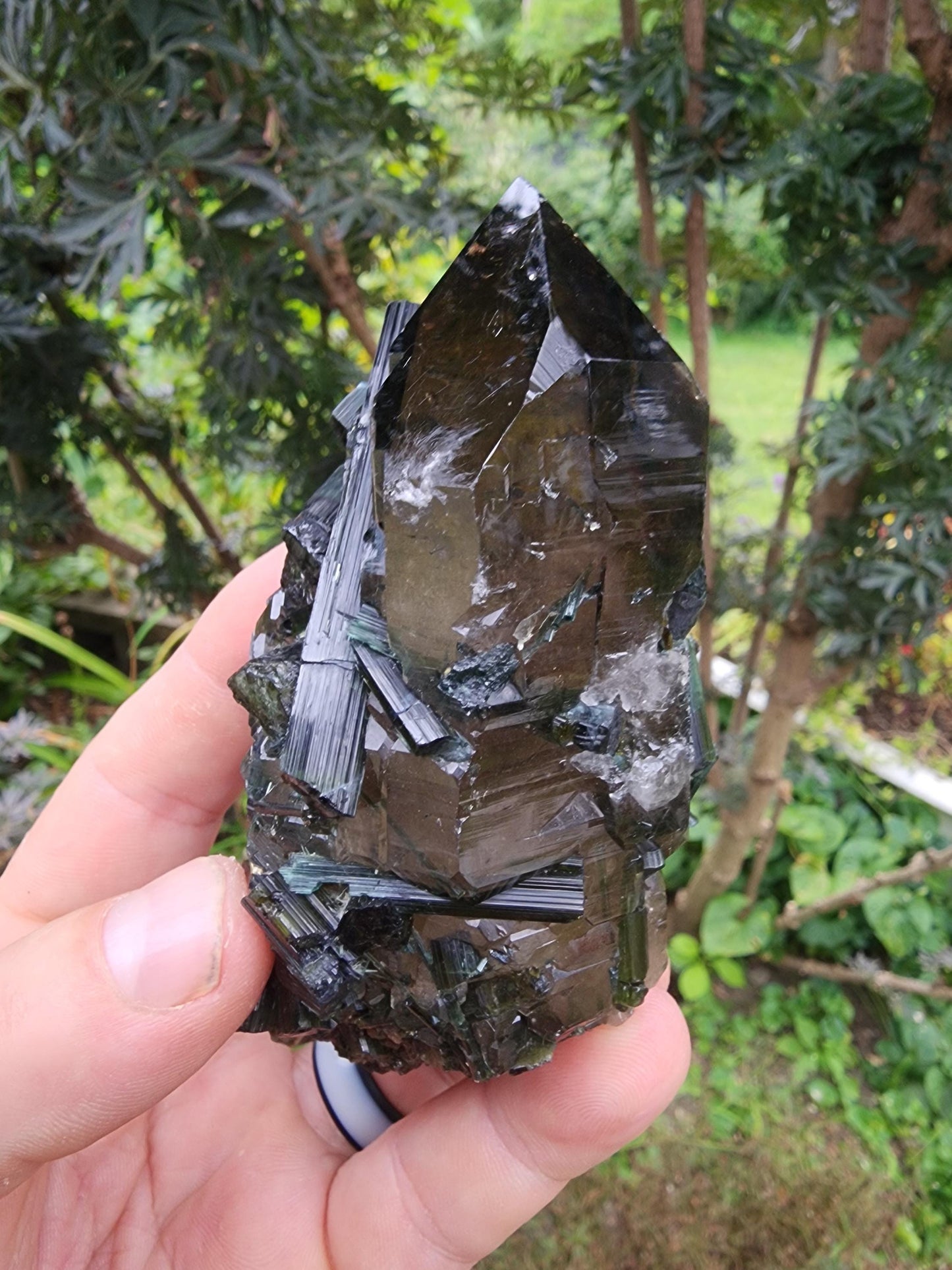 Large Bi-colored Tourmaline with a Smoky Quartz Point from Minas Gerais, Brazil