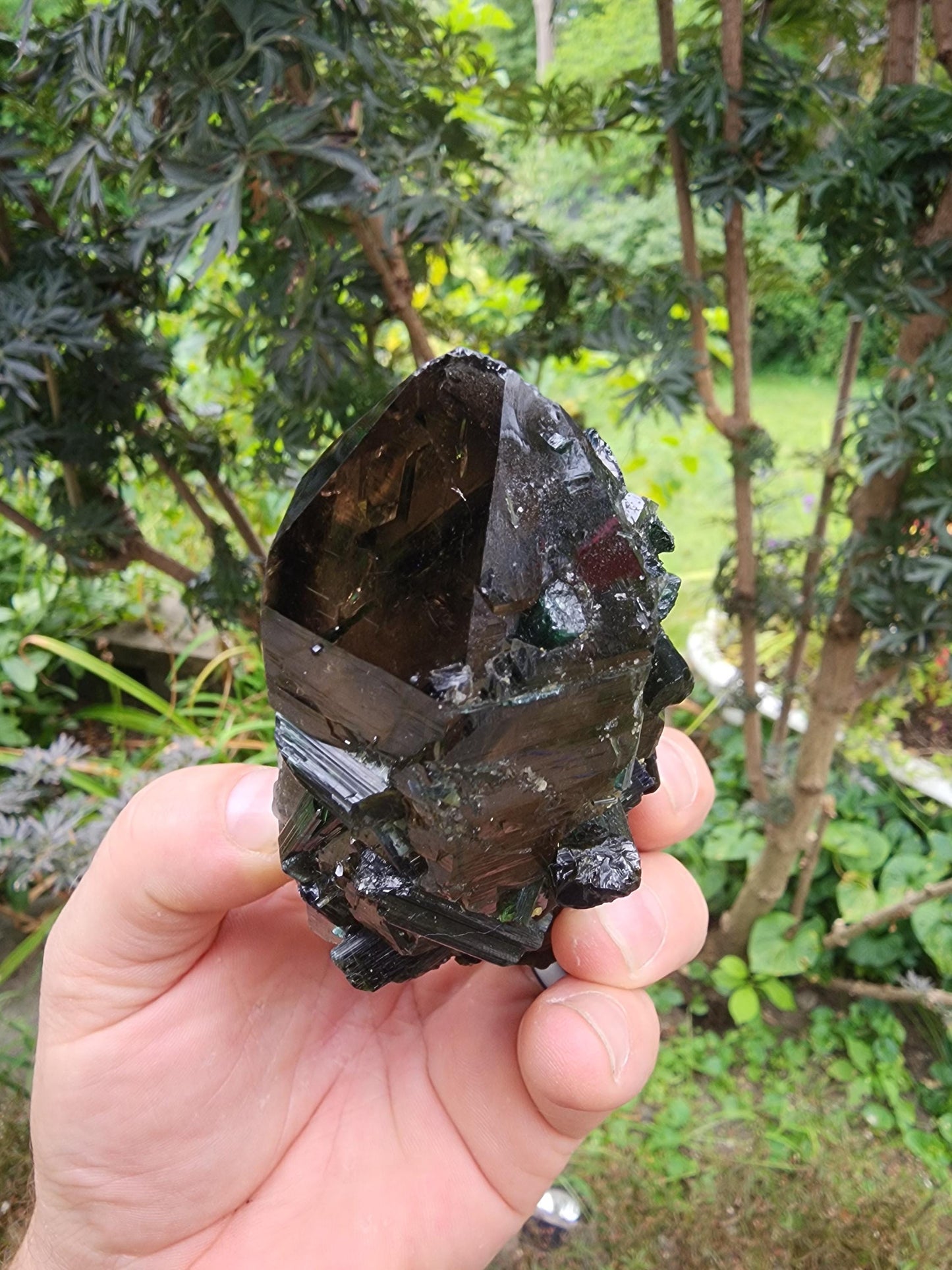 Large Bi-colored Tourmaline with a Smoky Quartz Point from Minas Gerais, Brazil