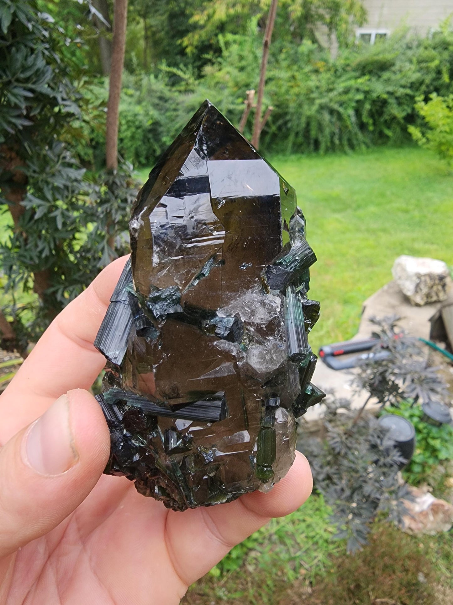 Large Bi-colored Tourmaline with a Smoky Quartz Point from Minas Gerais, Brazil
