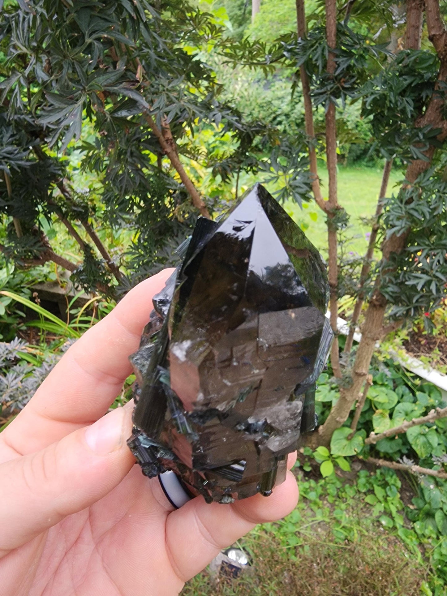 Large Bi-colored Tourmaline with a Smoky Quartz Point from Minas Gerais, Brazil