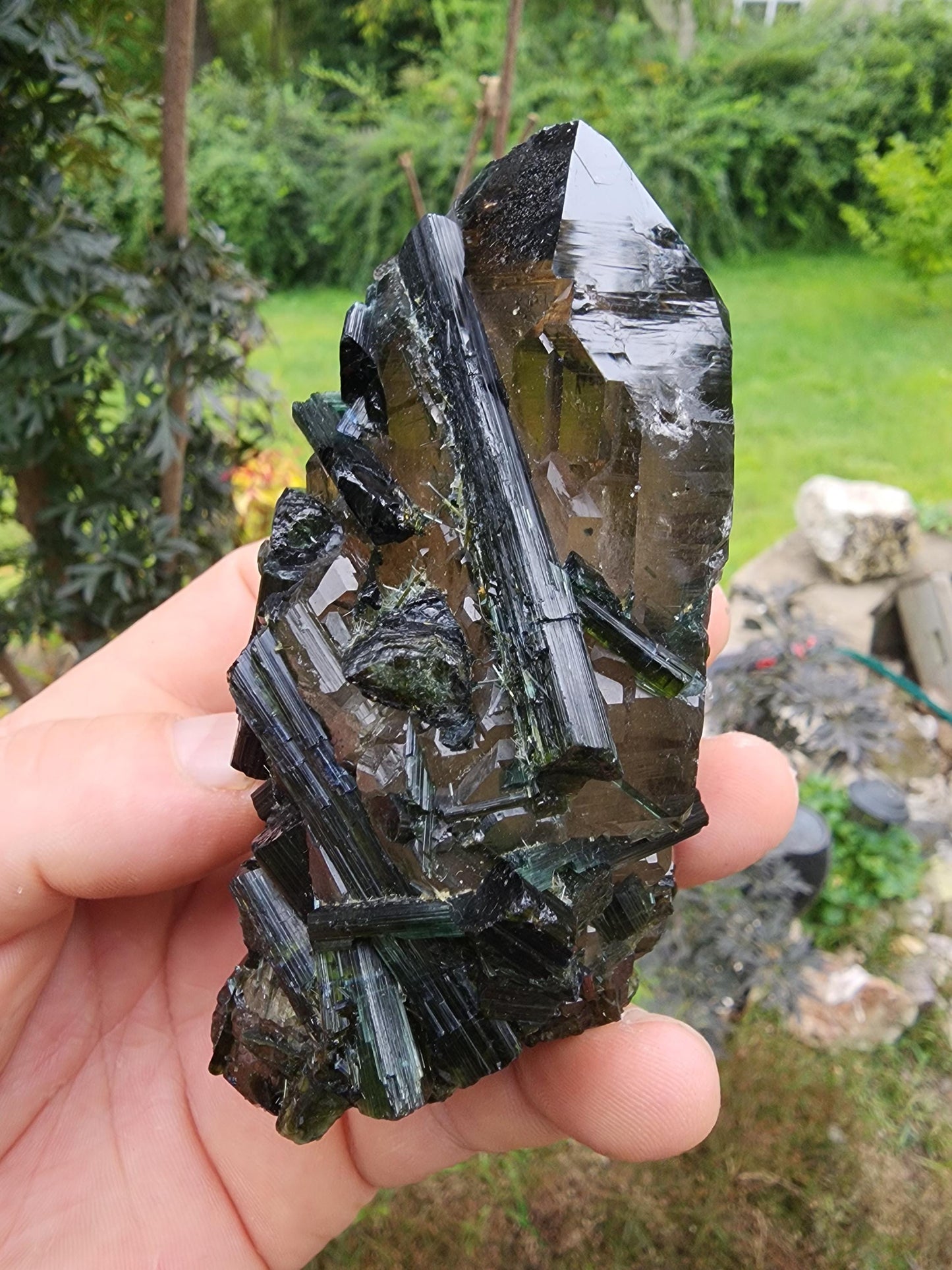 Large Bi-colored Tourmaline with a Smoky Quartz Point from Minas Gerais, Brazil