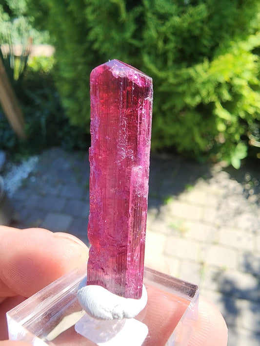 6 Grams Rubellite Tourmaline Crystal from Brazil