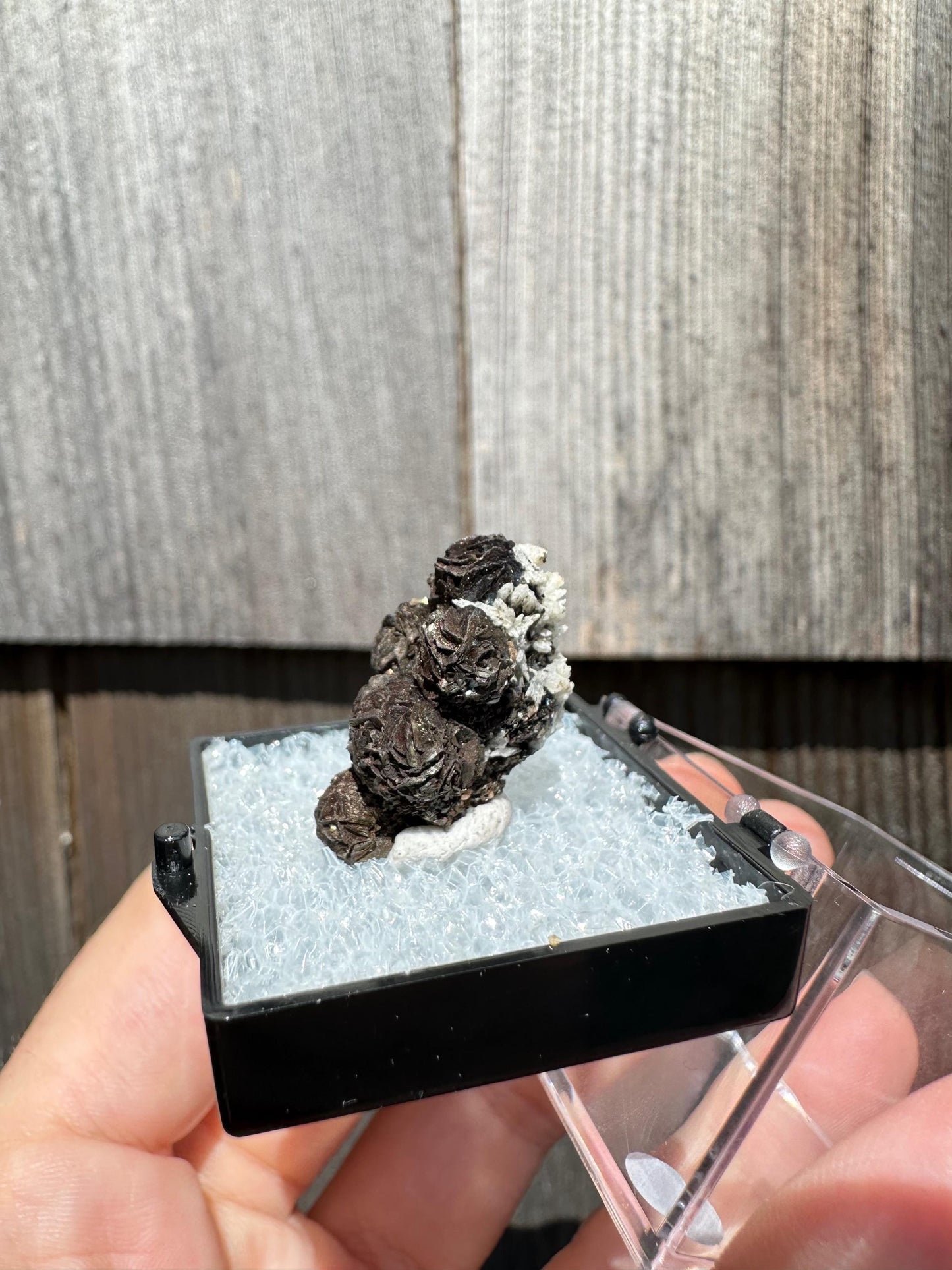 Iridescent Siderite from Potosi Mine, Mexico