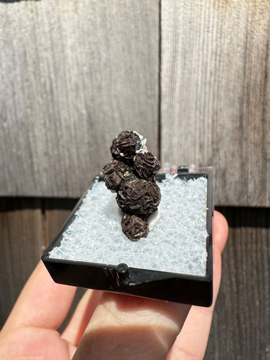 Iridescent Siderite from Potosi Mine, Mexico