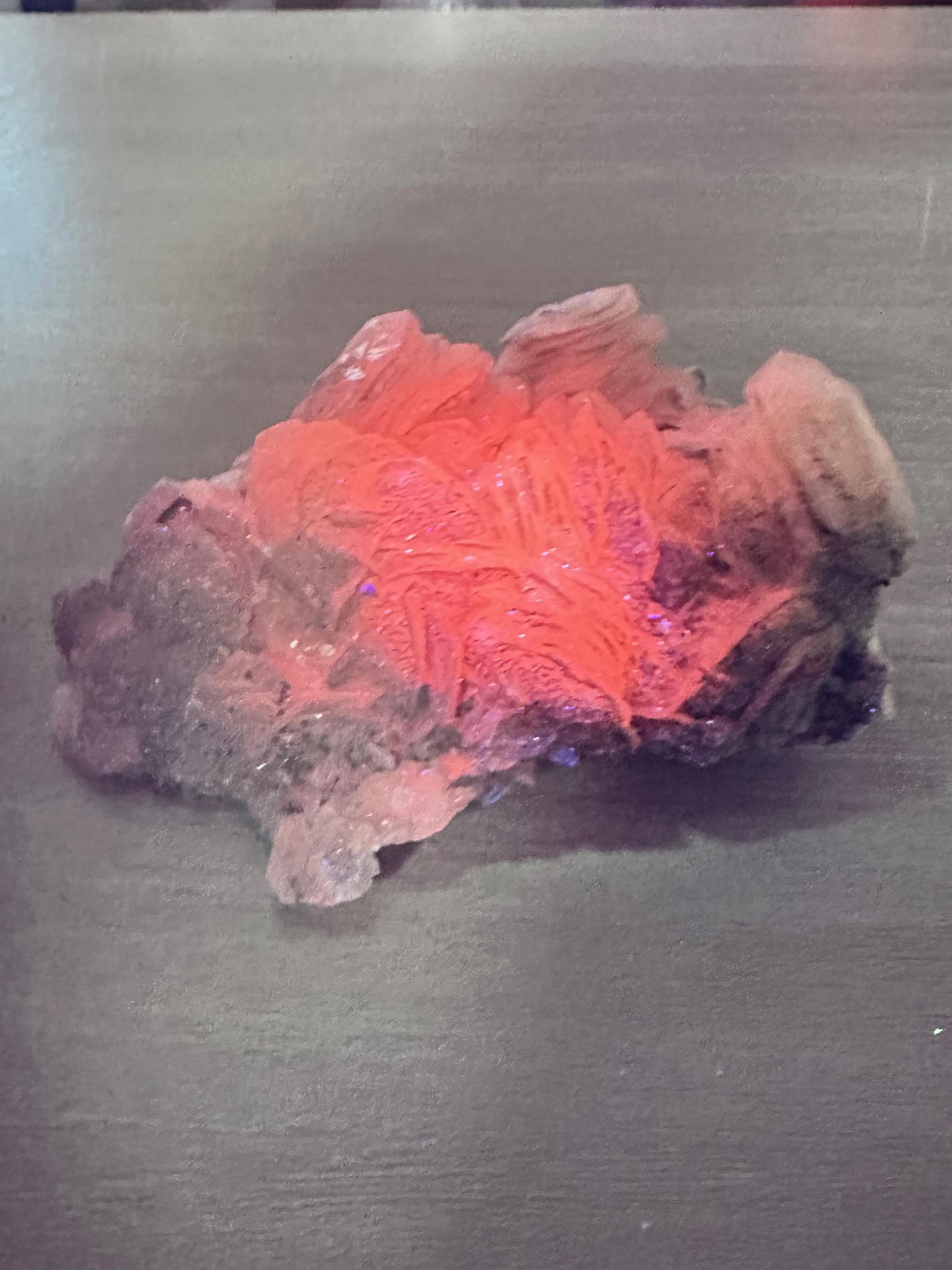 Fluorescent Poker Chip Calcite With Pyrite on Fluorite from Morocco
