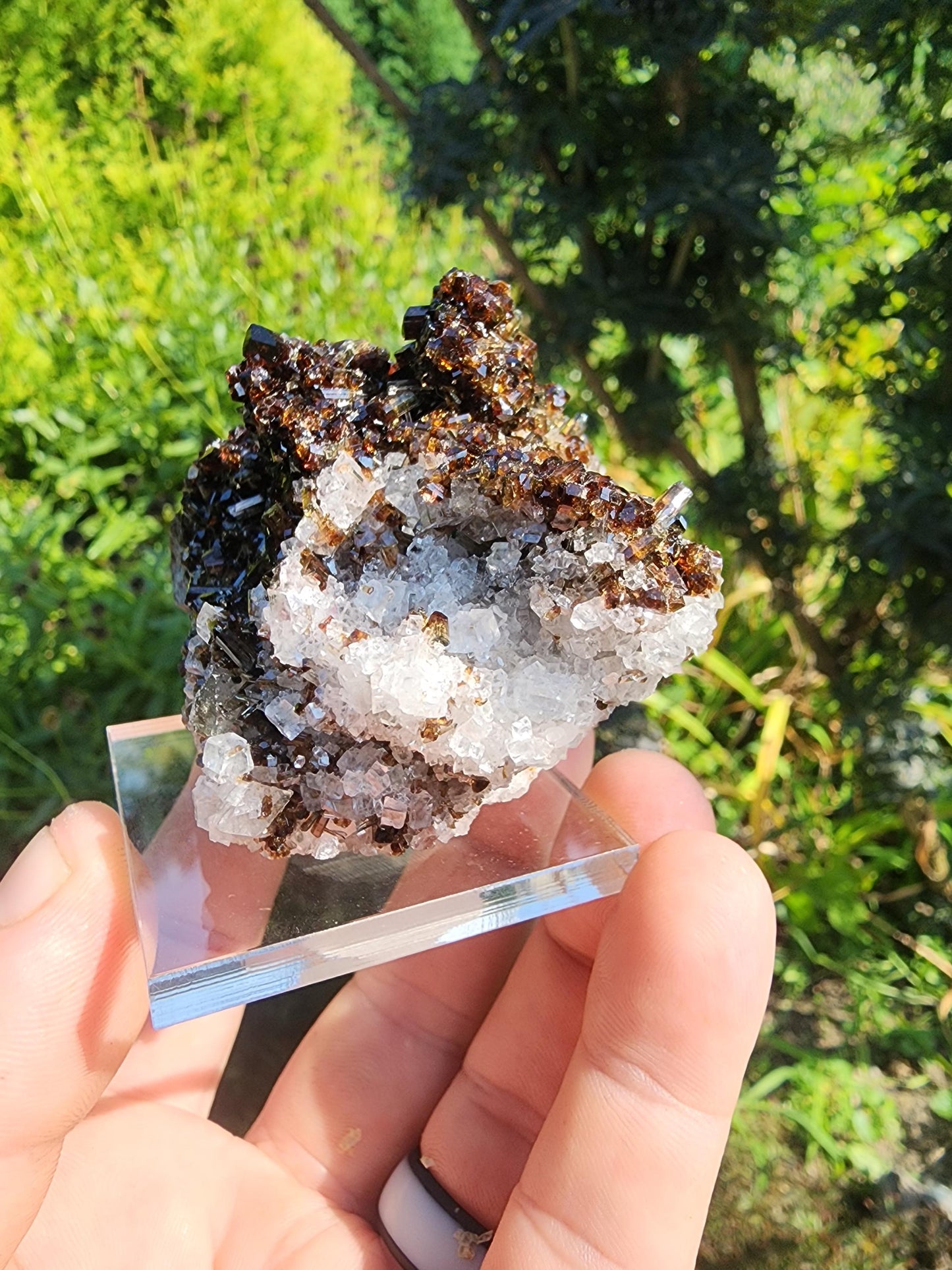 Tourmaline var. Dravite with Magnesite from Brumado, Bahia, Brazil