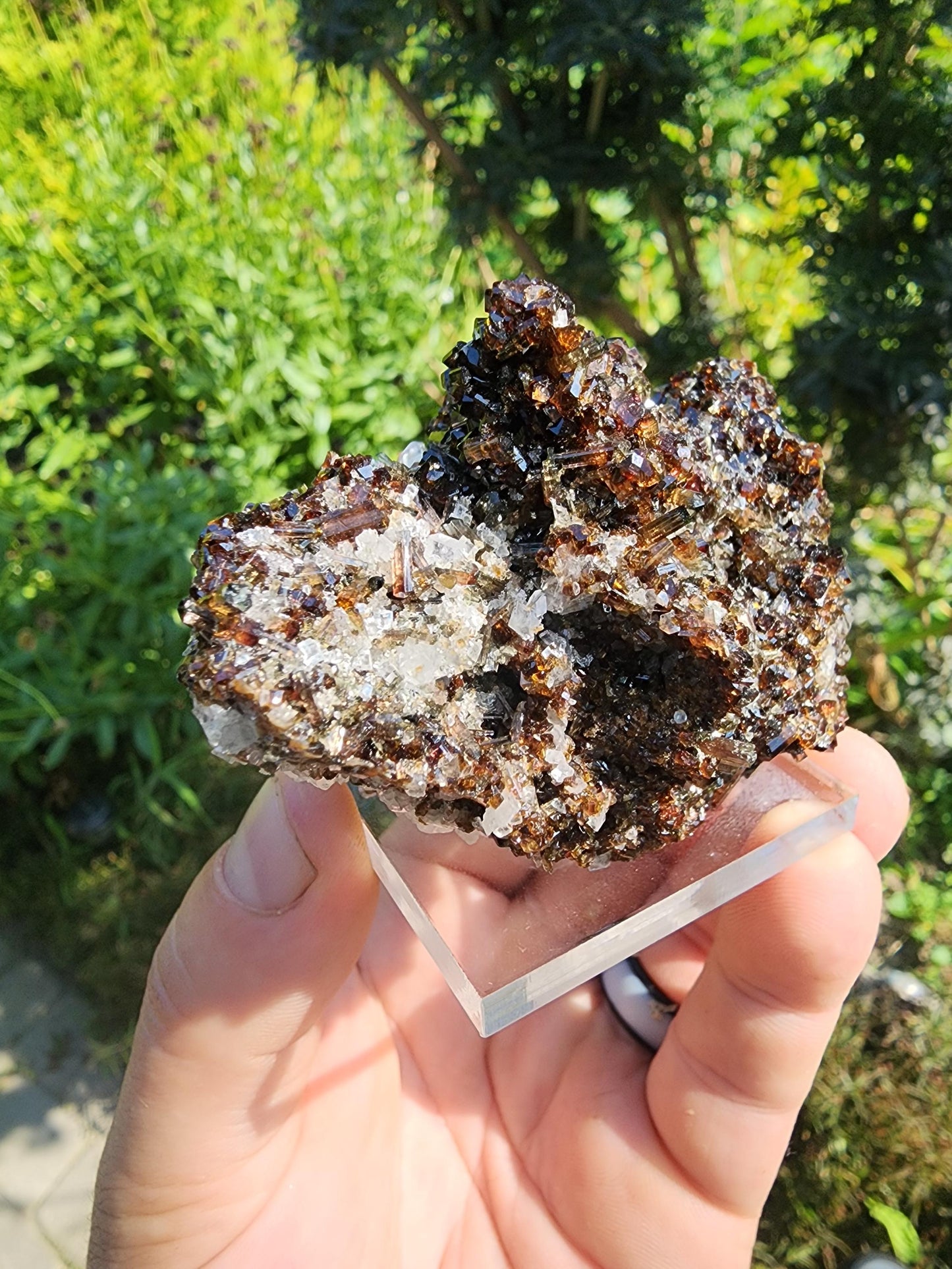 Tourmaline var. Dravite with Magnesite from Brumado, Bahia, Brazil