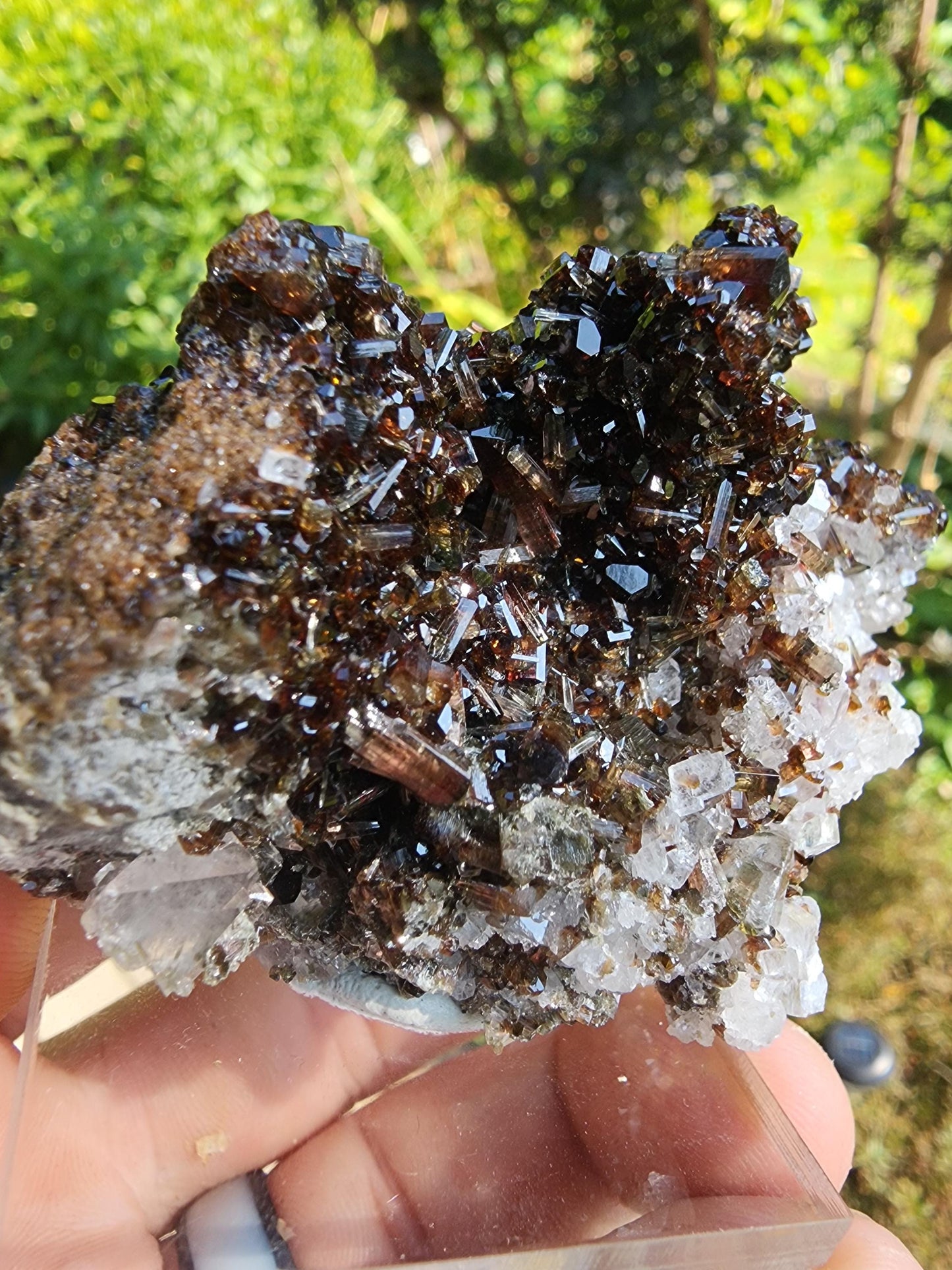 Tourmaline var. Dravite with Magnesite from Brumado, Bahia, Brazil