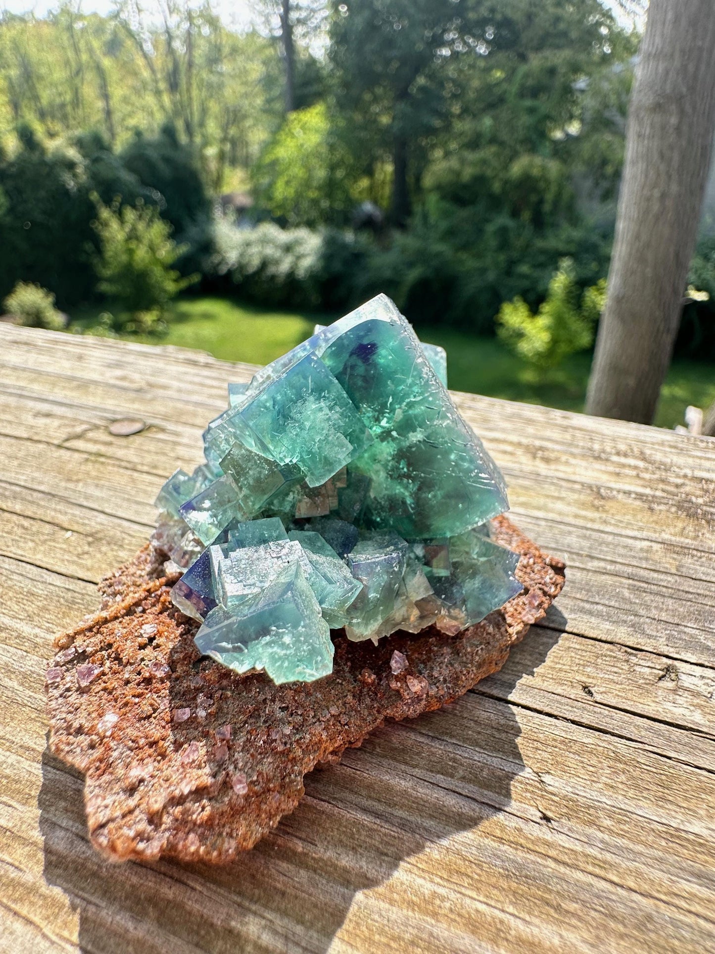 Diana Maria Color Change Fluorite on Matrix from UK