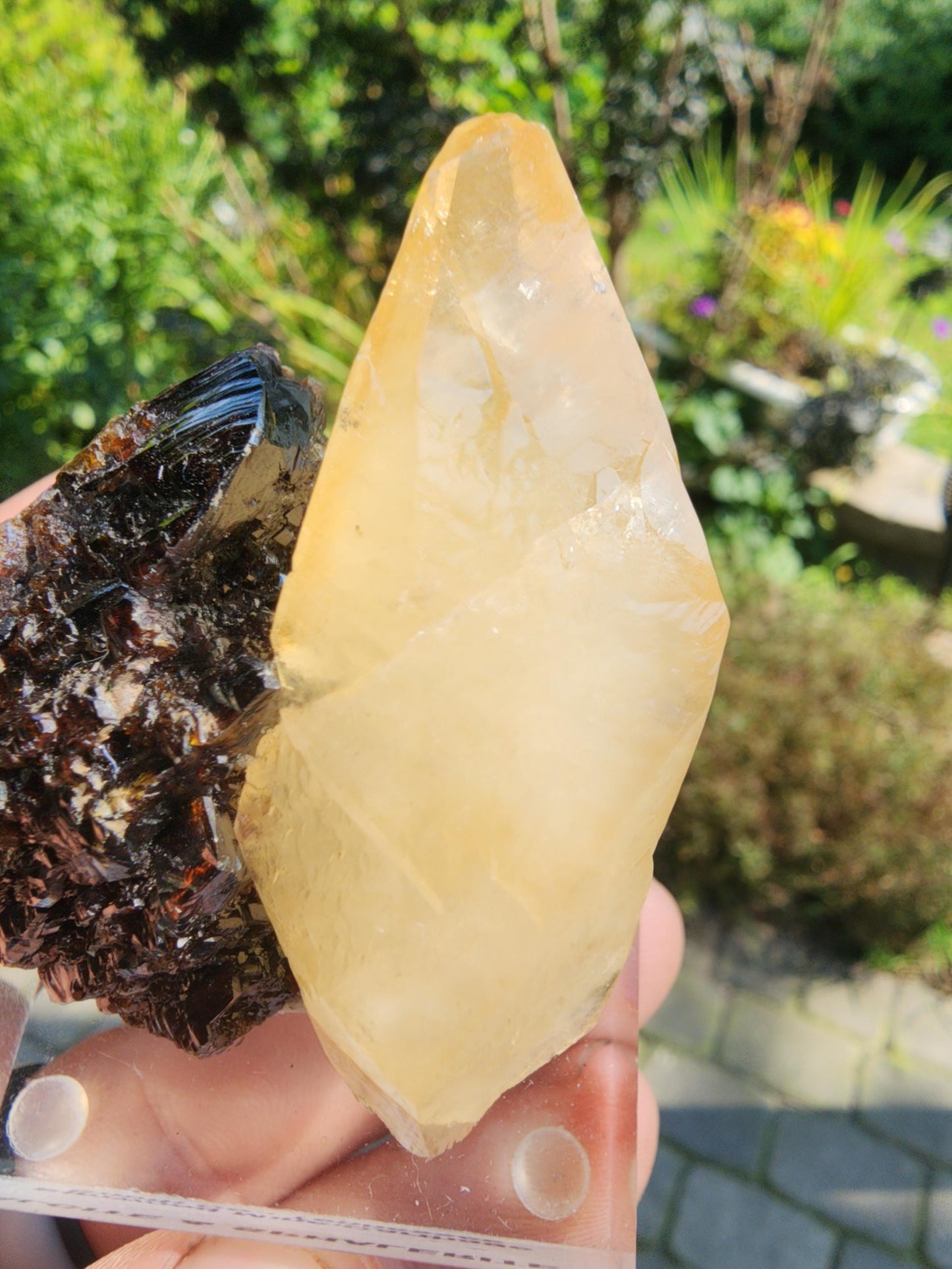 Sphalerite with Calcite from Elmwood Mine, Tennessee