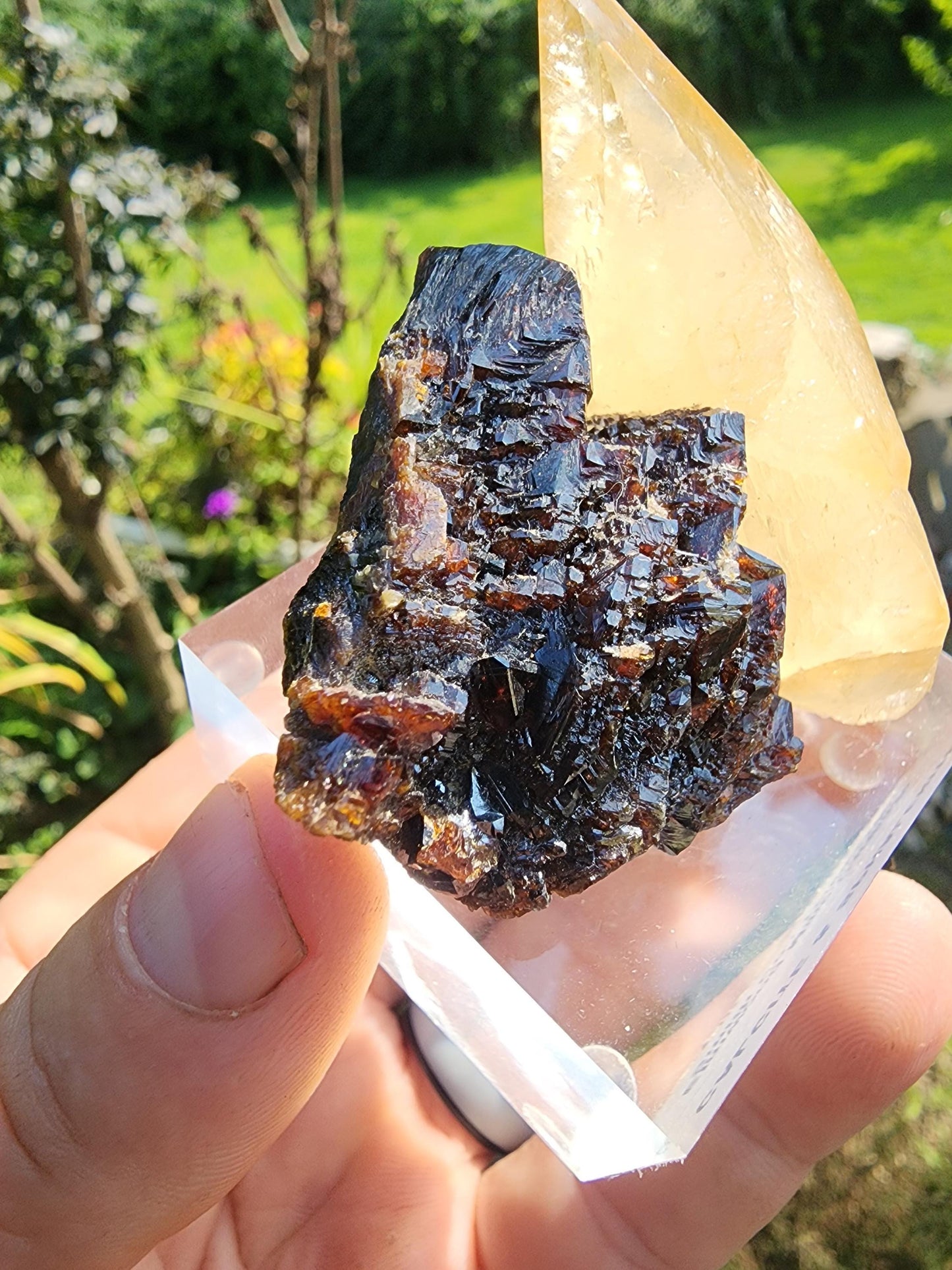 Sphalerite with Calcite from Elmwood Mine, Tennessee