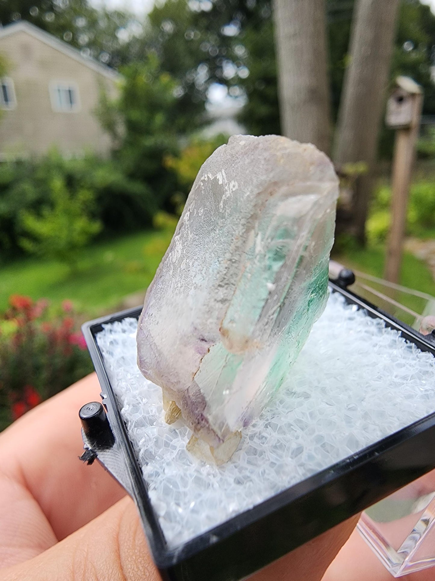Fluorite Crystal from Erongo, Namibia