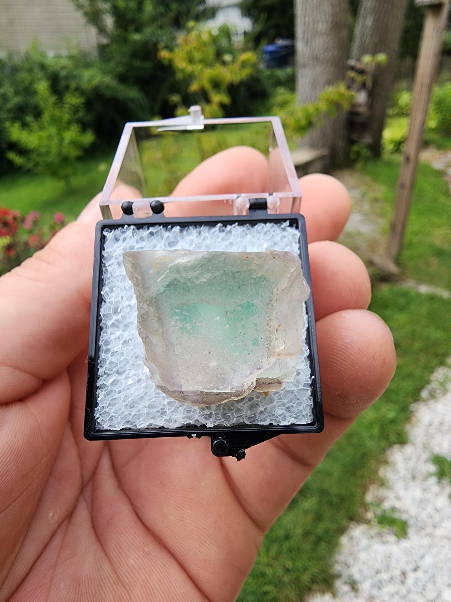 Fluorite Crystal from Erongo, Namibia