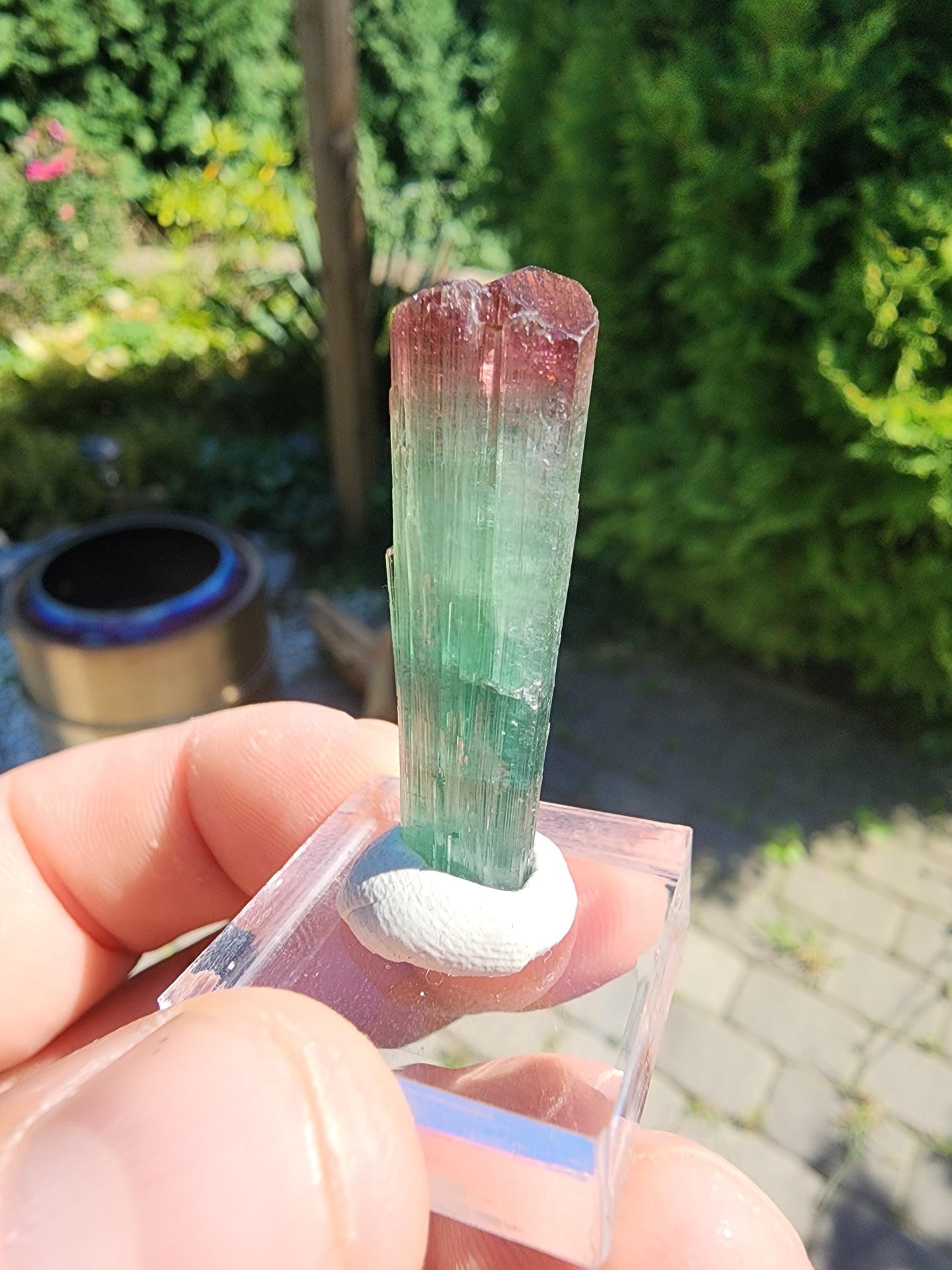 Cruzeiro Lipstick Tourmaline Crystal from Minas Gerais, Brazil