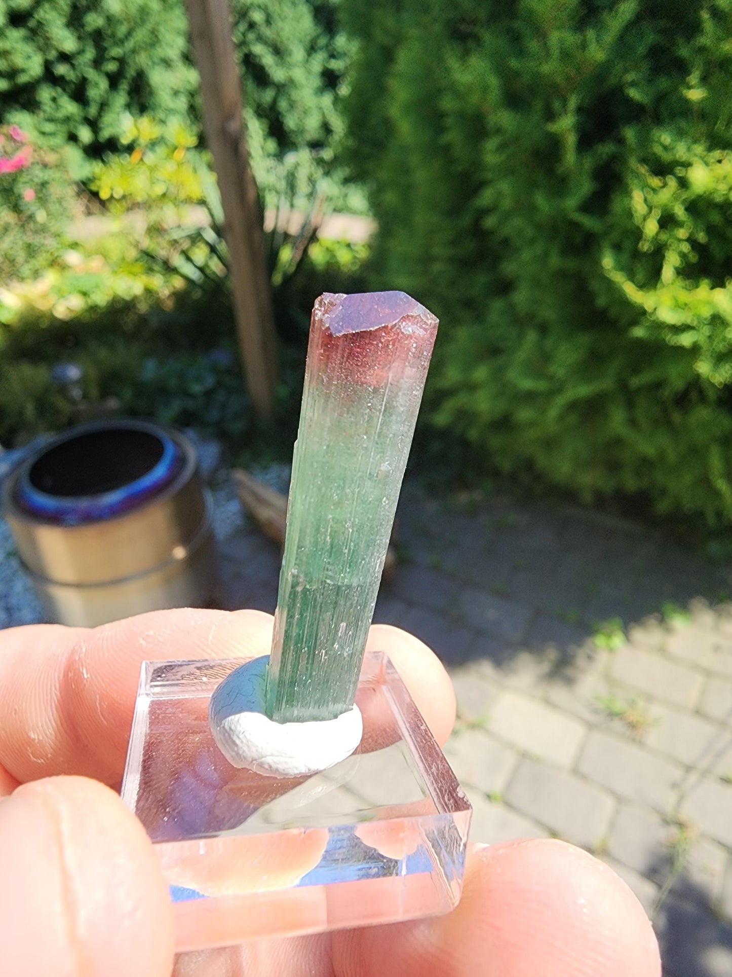 Cruzeiro Lipstick Tourmaline Crystal from Minas Gerais, Brazil
