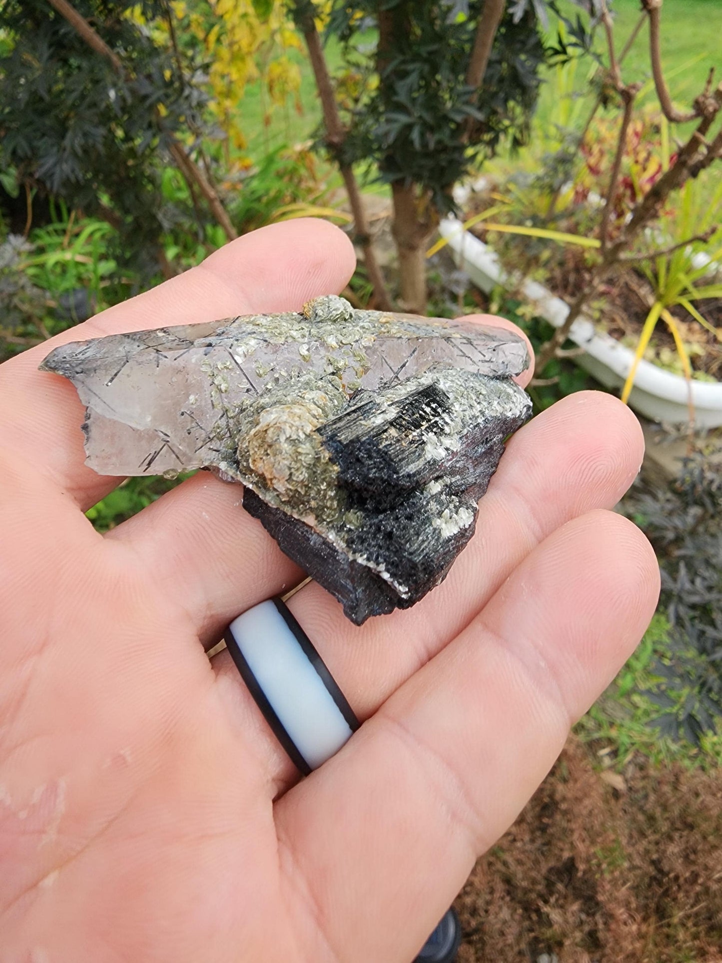 Tourmaline var. Schorl with Muscovite and Quartz