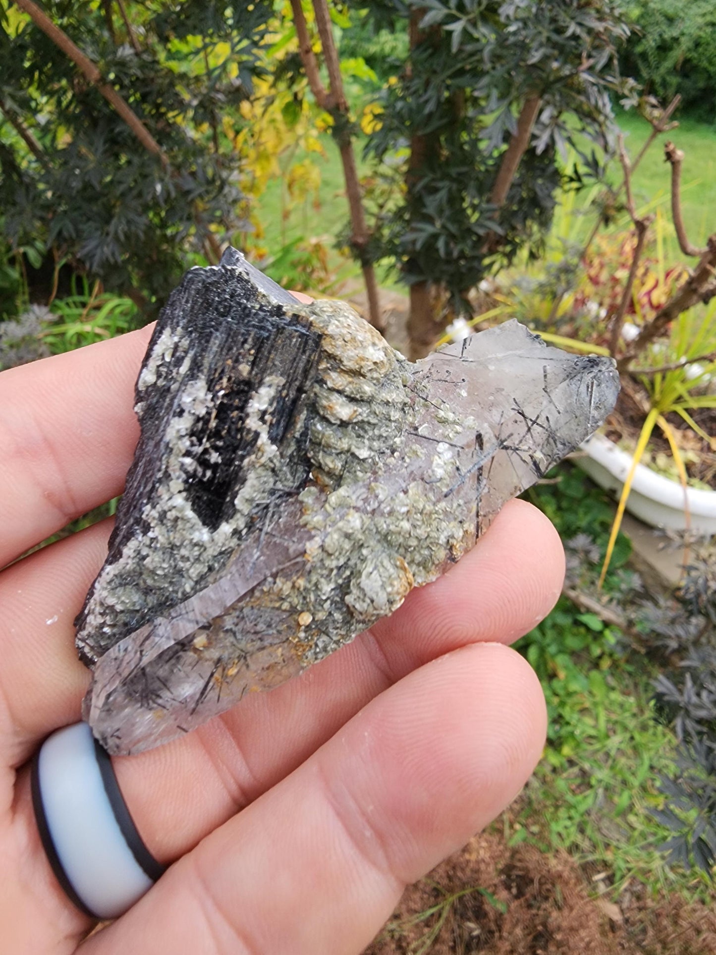 Tourmaline var. Schorl with Muscovite and Quartz