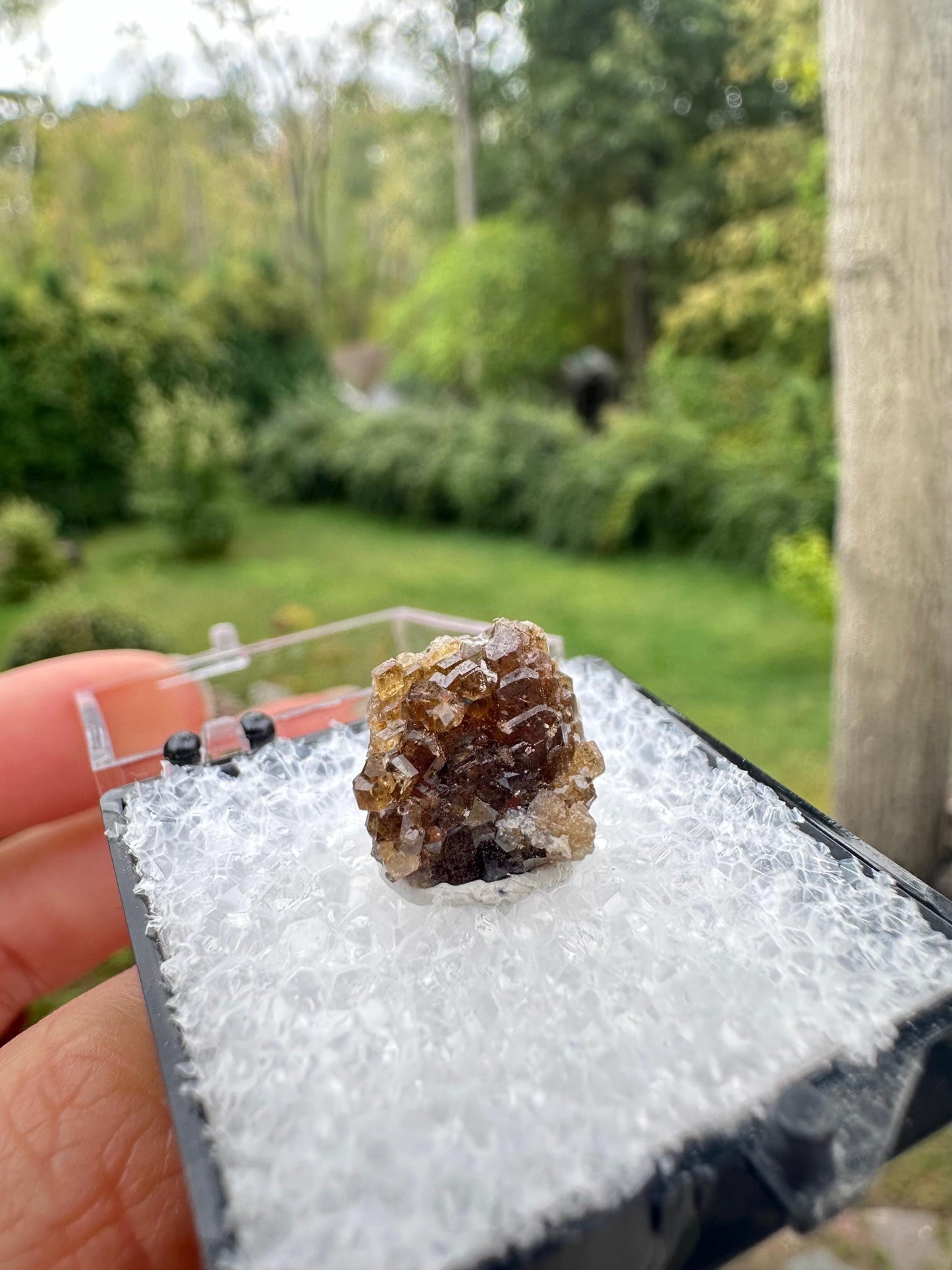 Grossular Garnet Crystals from Vesper Peak Washington USA