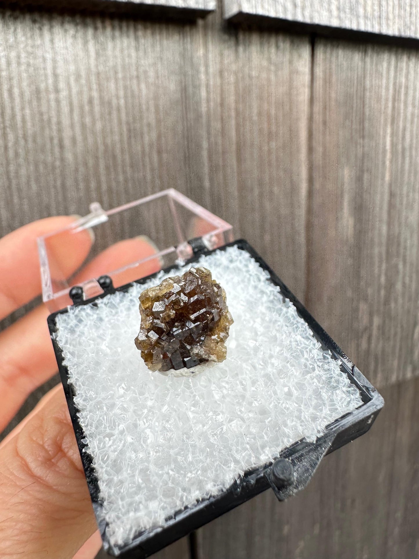 Grossular Garnet Crystals from Vesper Peak Washington USA